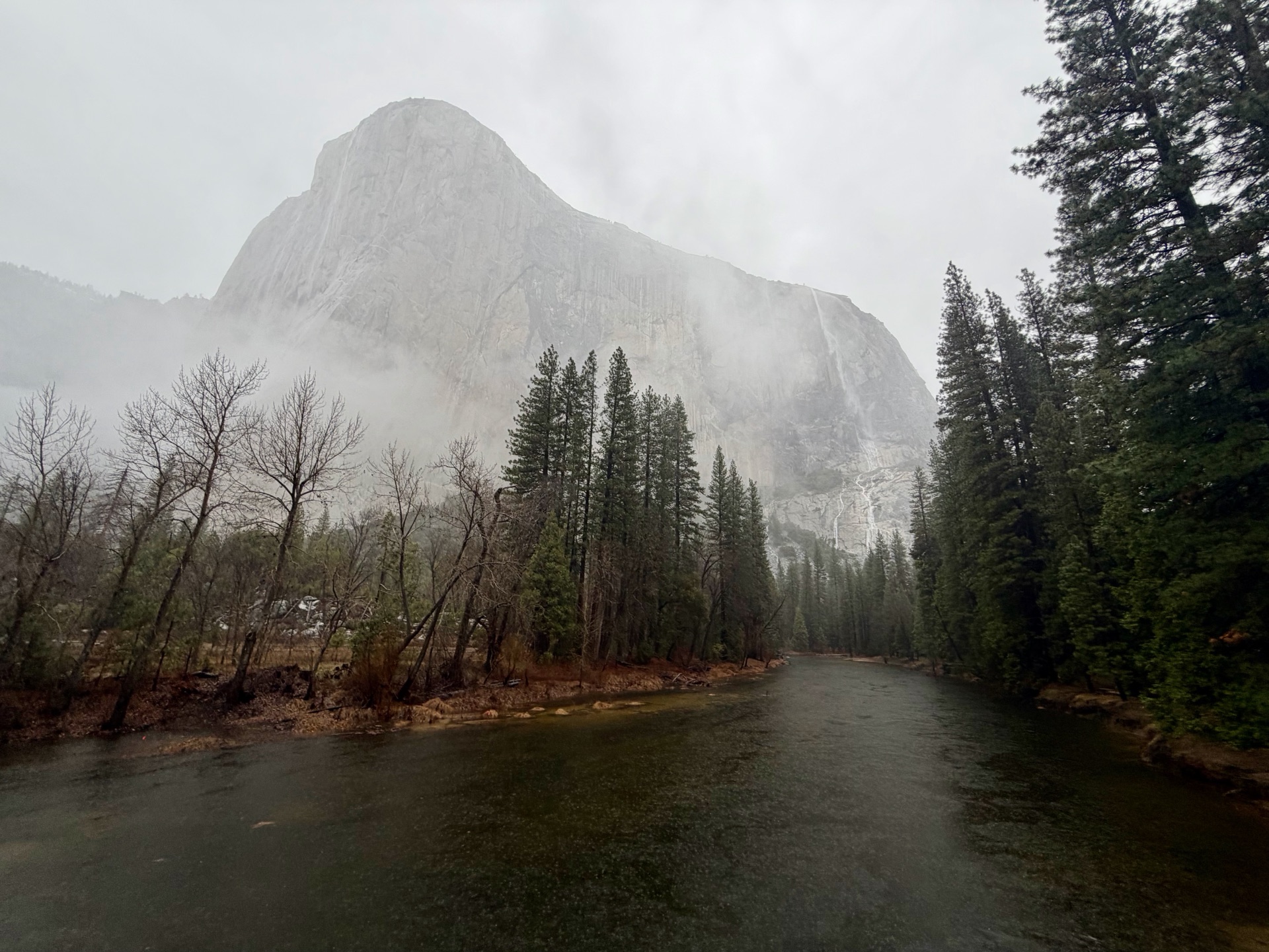 Rain is pouring as we drive in on New Year's morning. Ephemeral waterfalls quickly appear on El Cap's face.