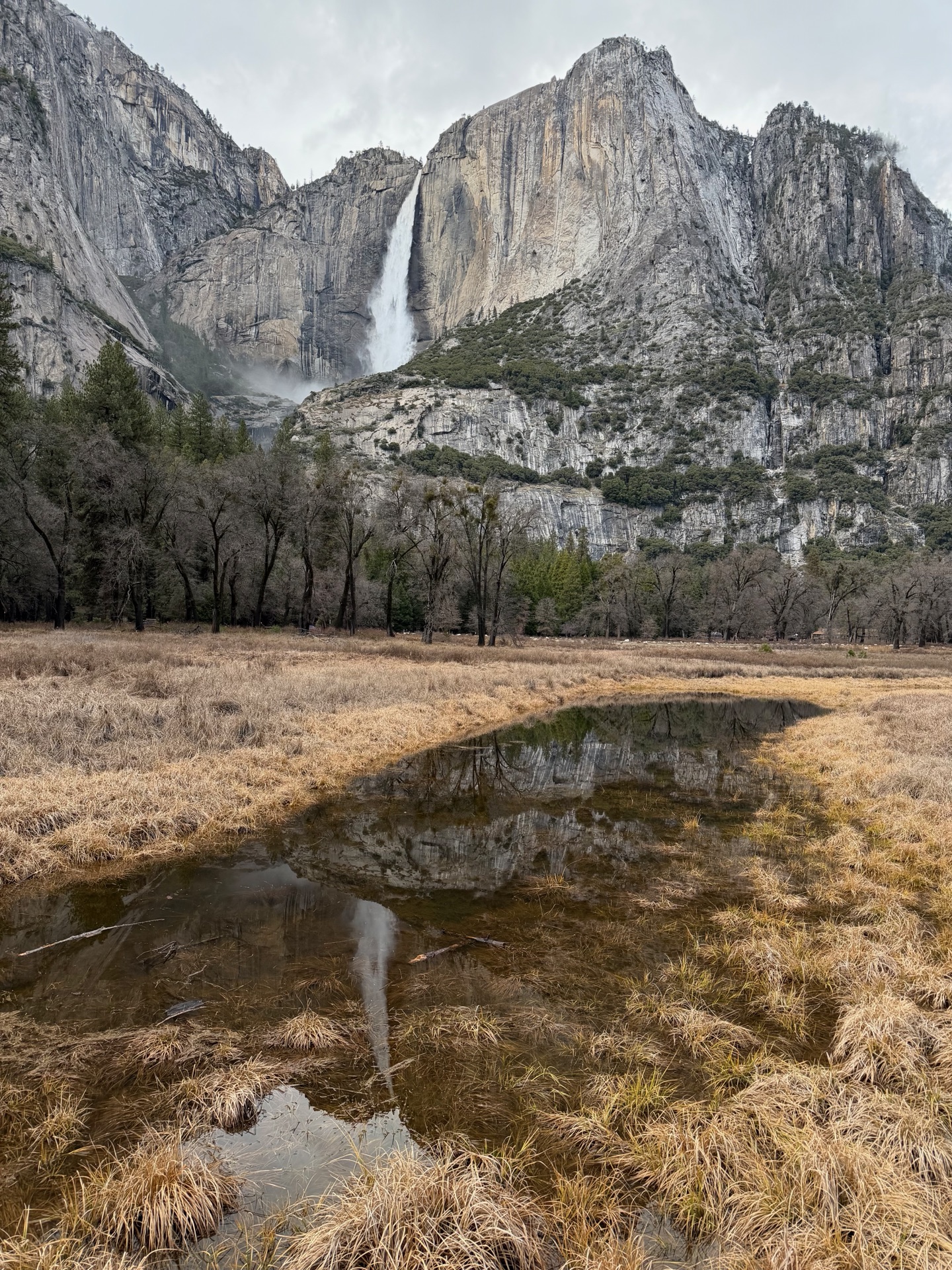 Yosemite Falls from Cook's Meadow.