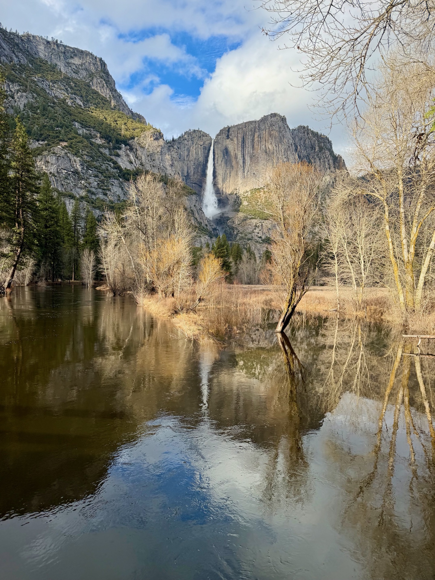 Yosemite Falls from the Swinging Bridge.