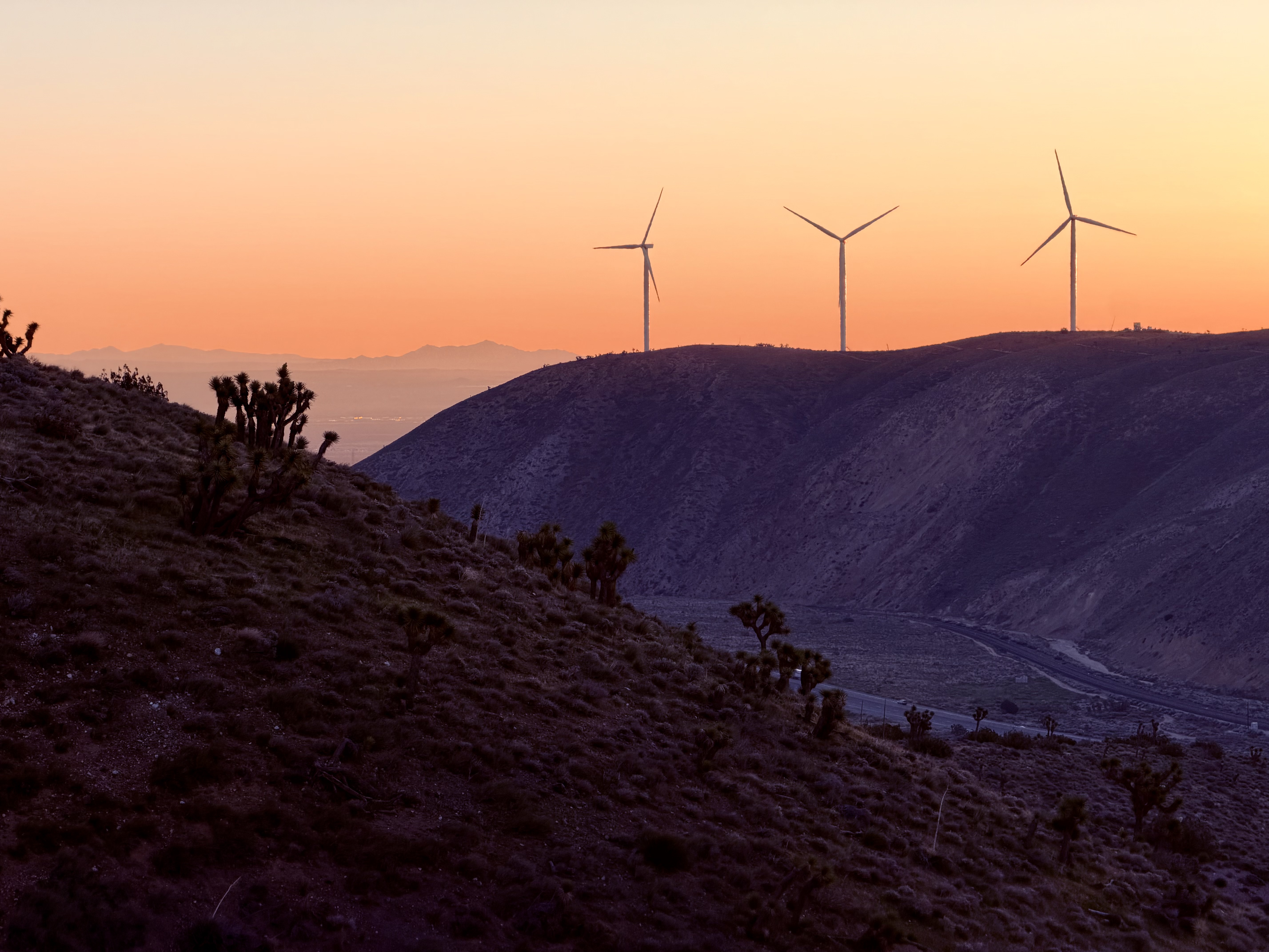 Tehachapi Pass funnels wind, and wind turbines are abundant here
