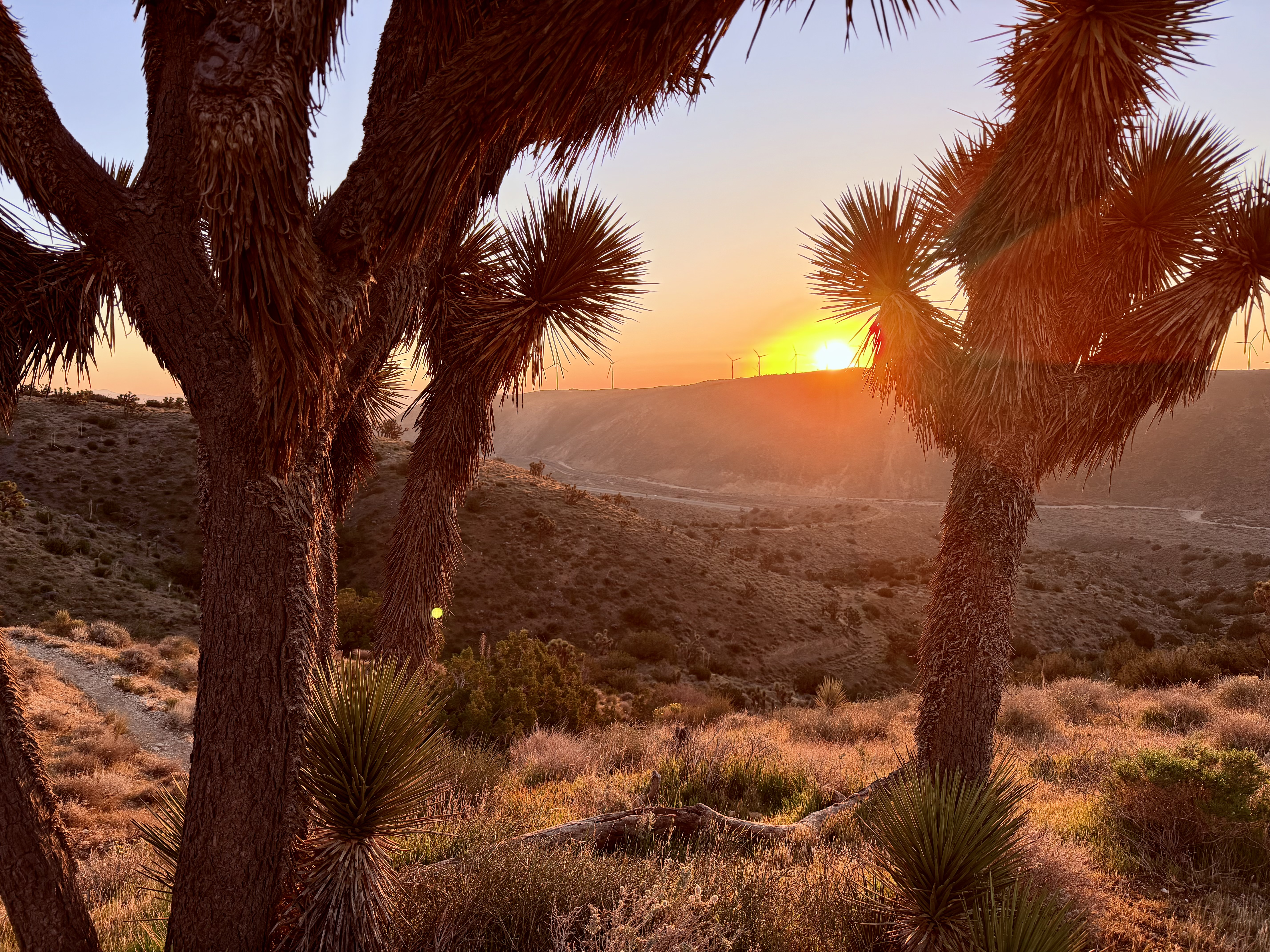 First rays of sun come while I am starting Sierra Odyssey, and I intuitively settle on Sierra Sunrise for this trail section