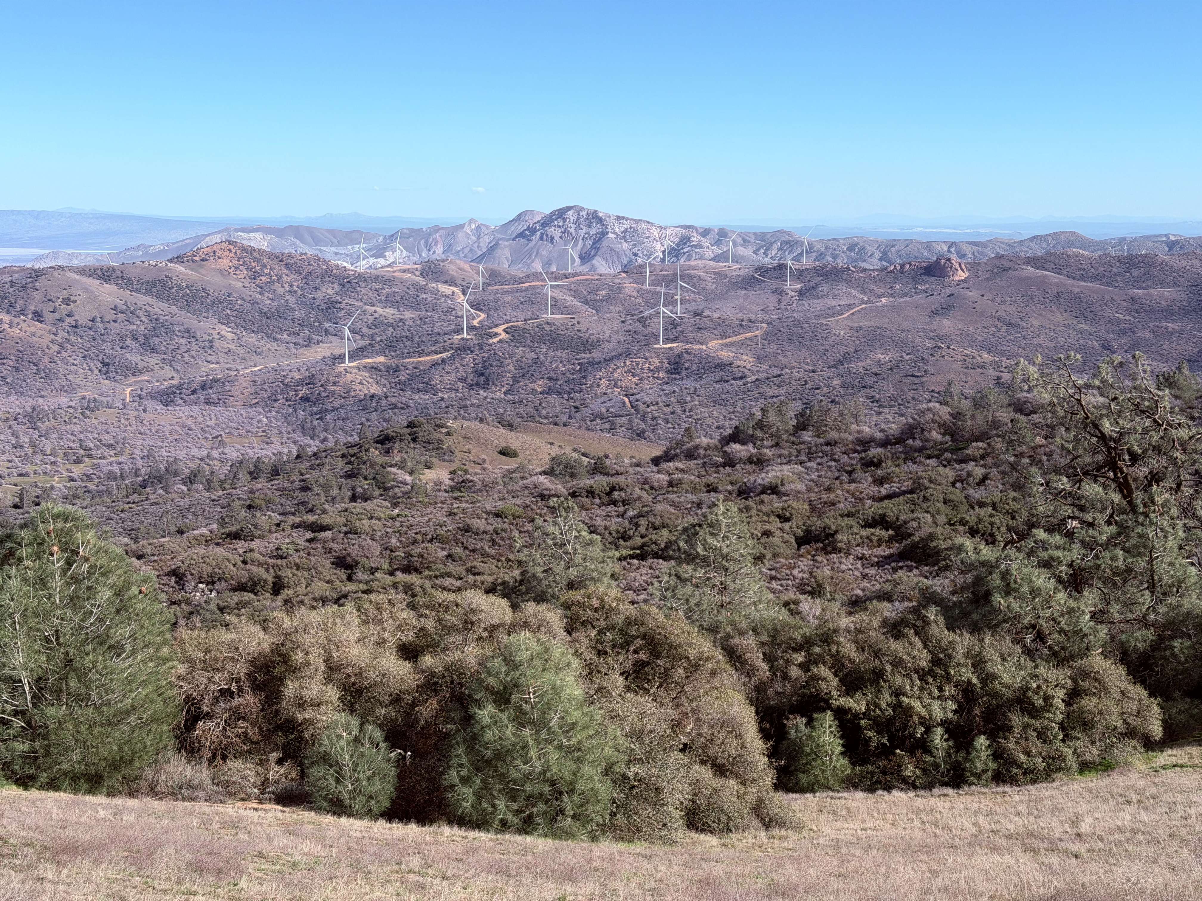 Constant presence of wind turbines