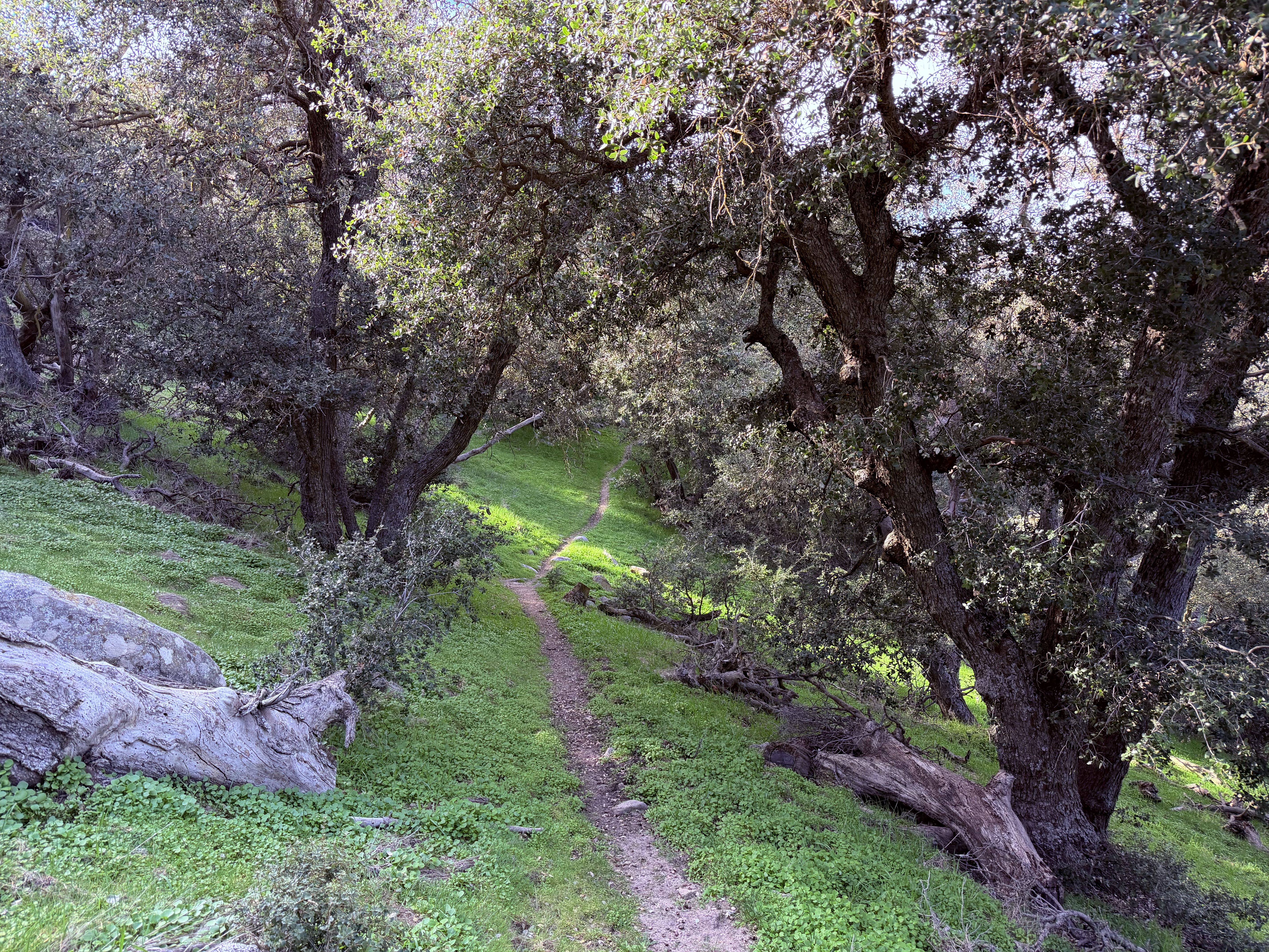Dry southern slopes give way to oak-shaded northern ones