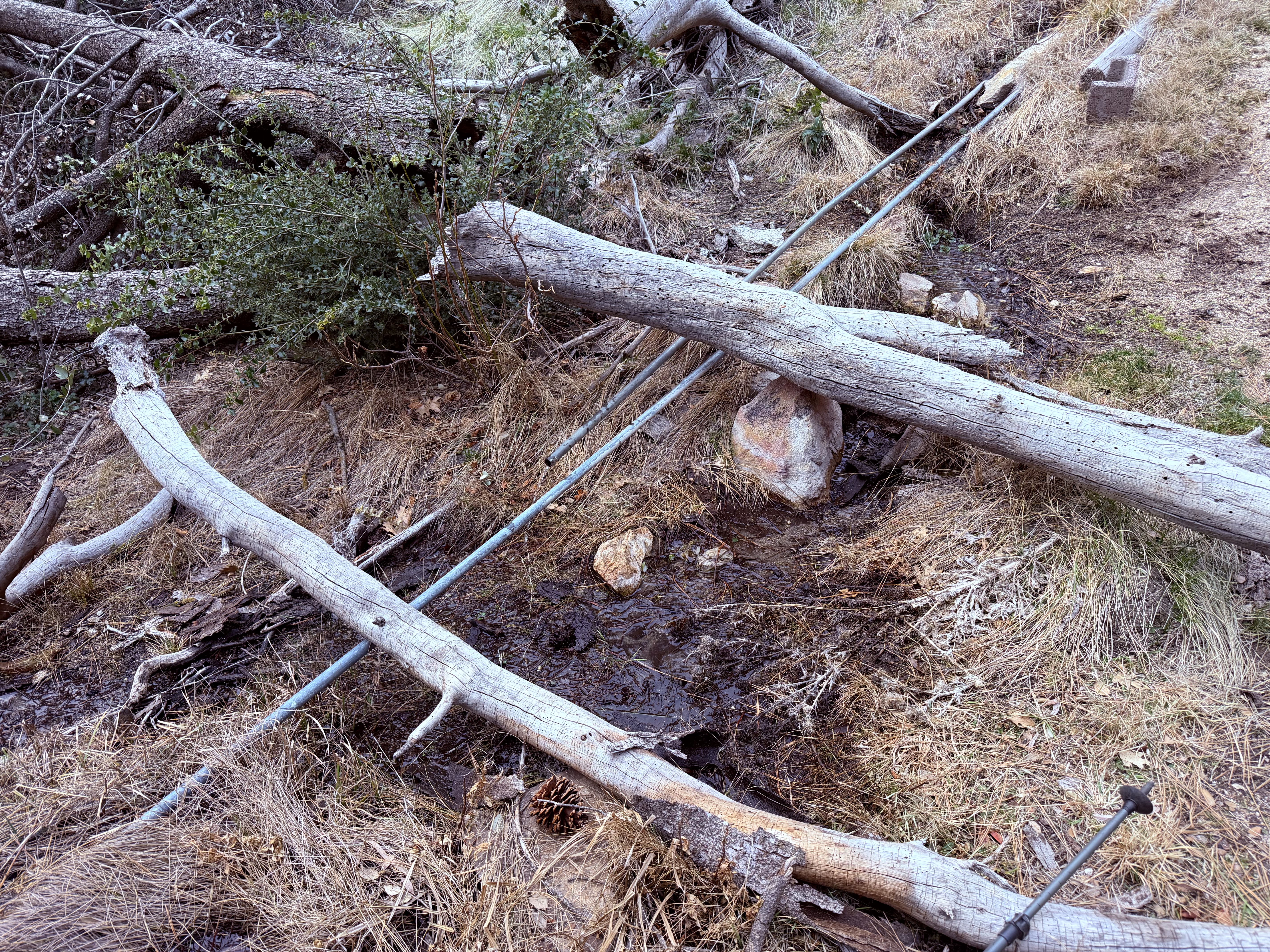 Indian Spring — tiny water refill. Trail gets wetter afterwards