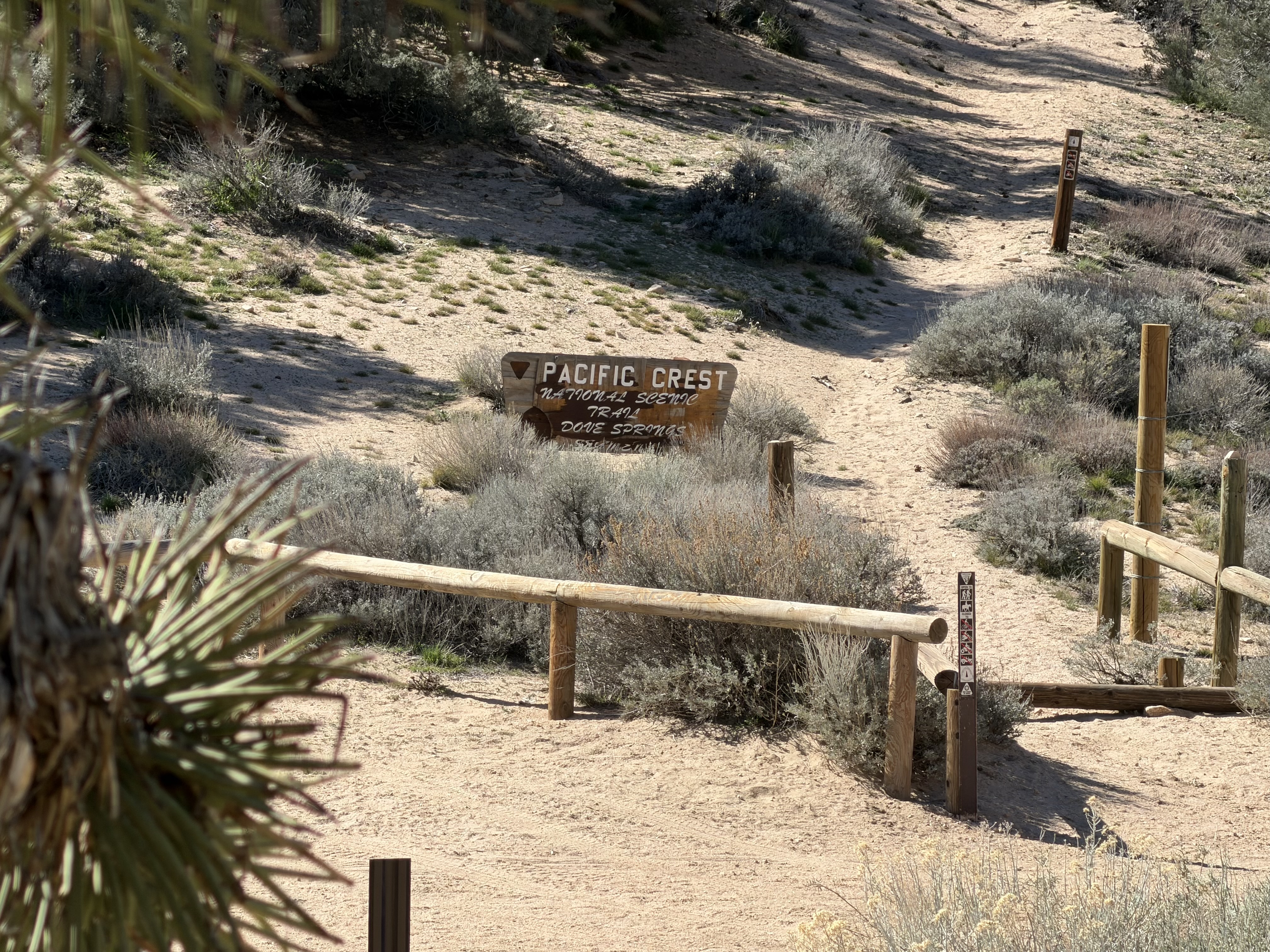 Bird Spring Canyon — a water cache and campground for PCT hikers