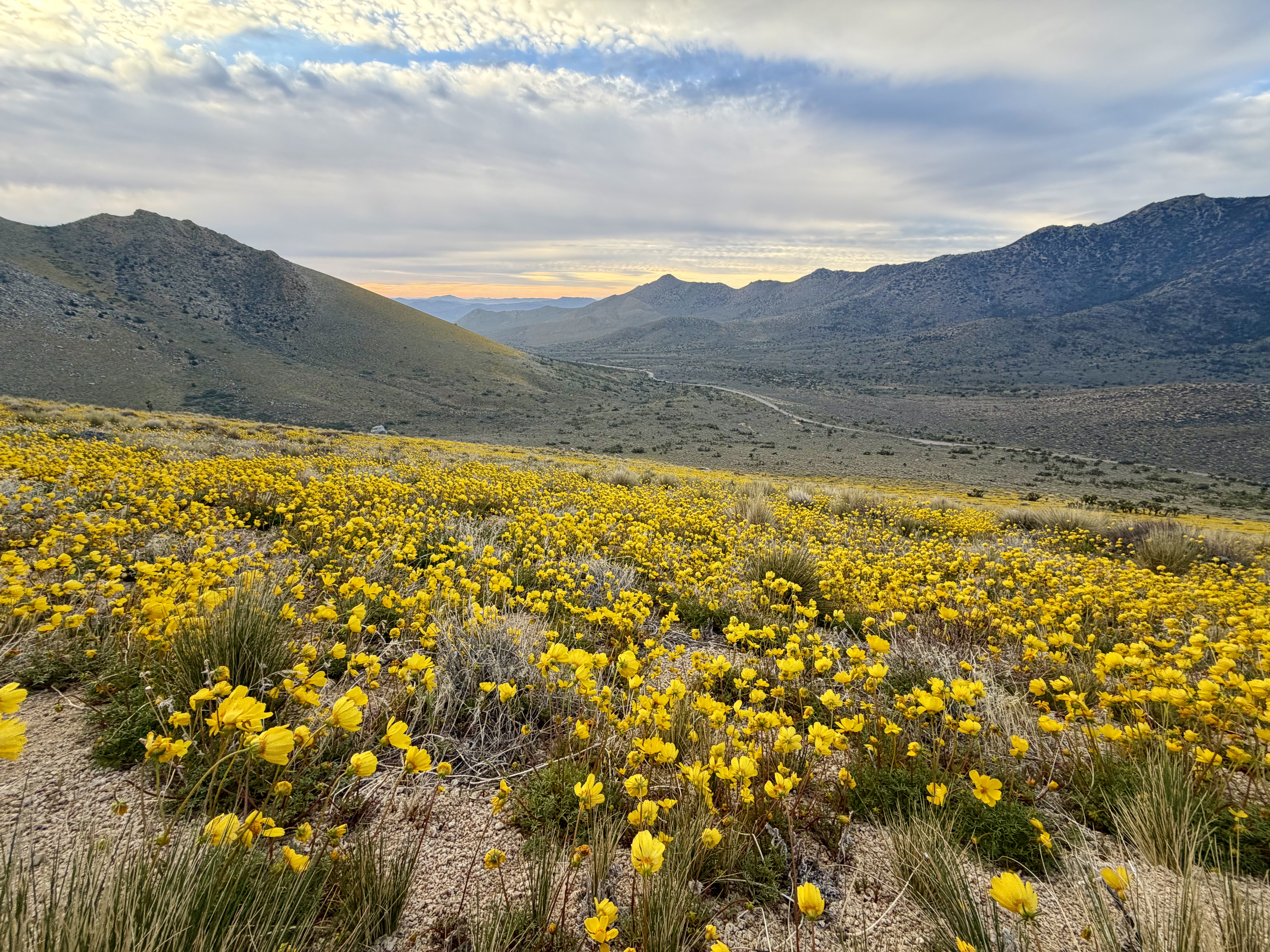 Route SO3 — Owens Peak Wilderness