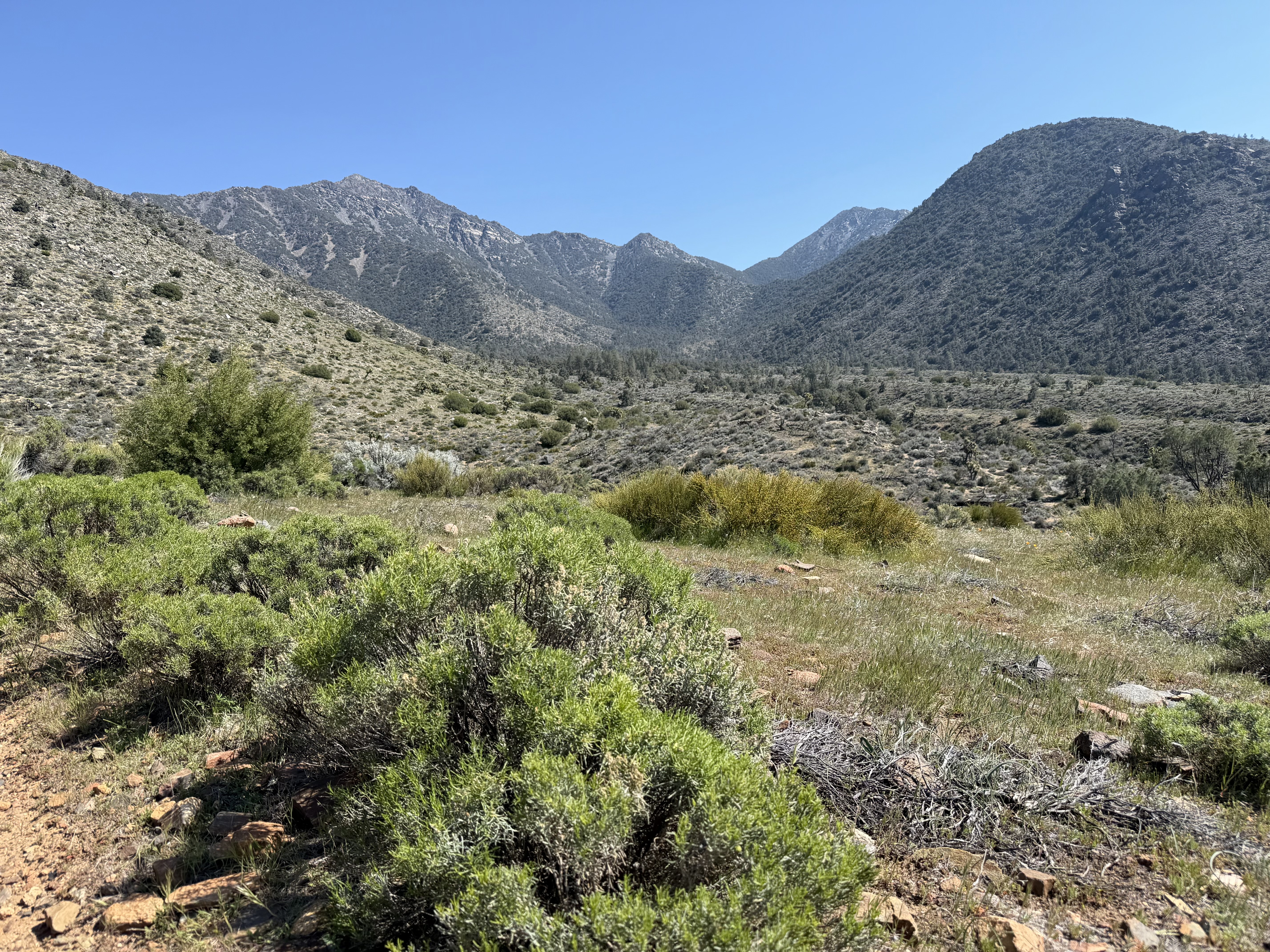 Endless runs with mountain ridges ahead