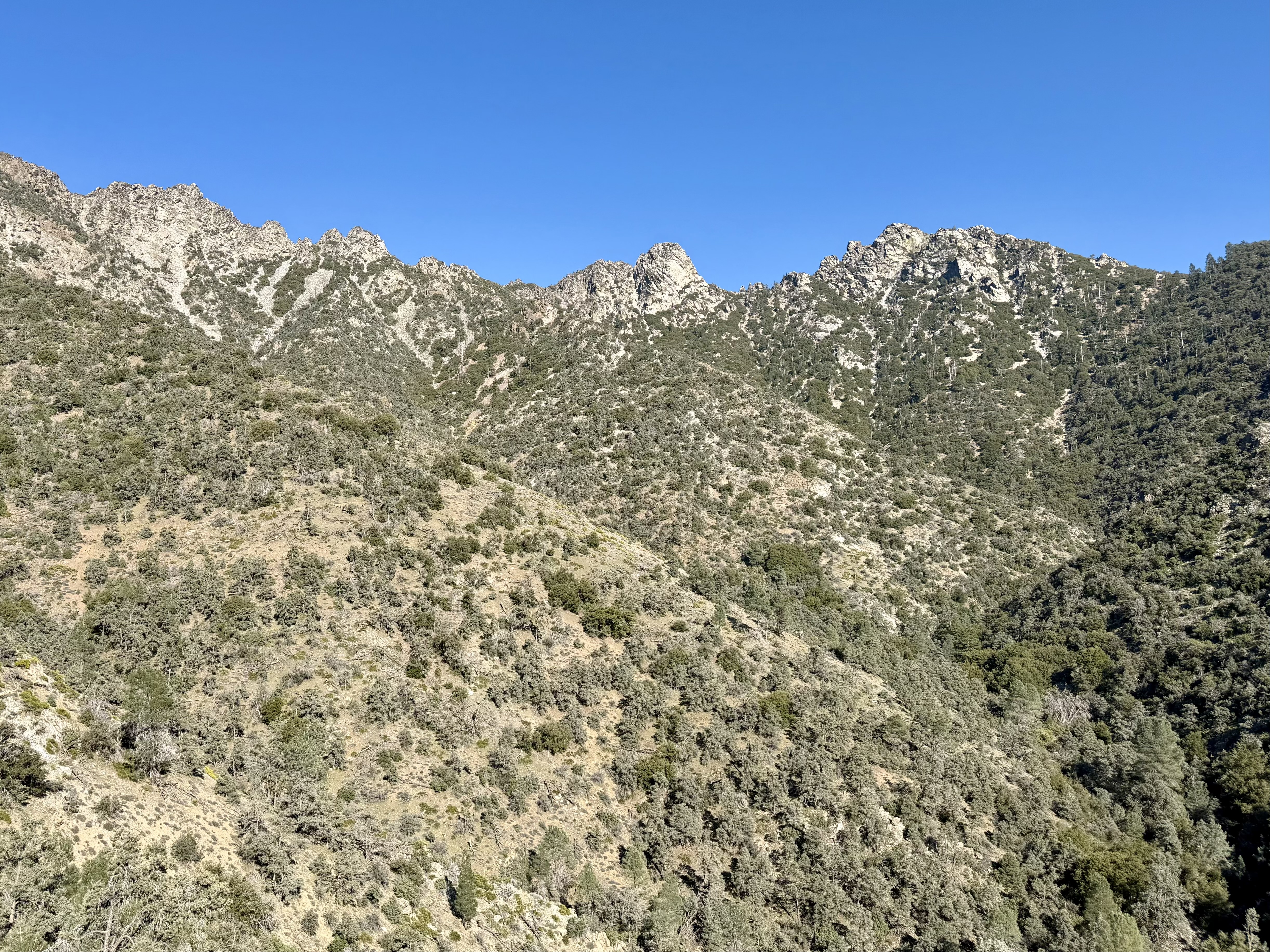 Spanish Needle Ridge