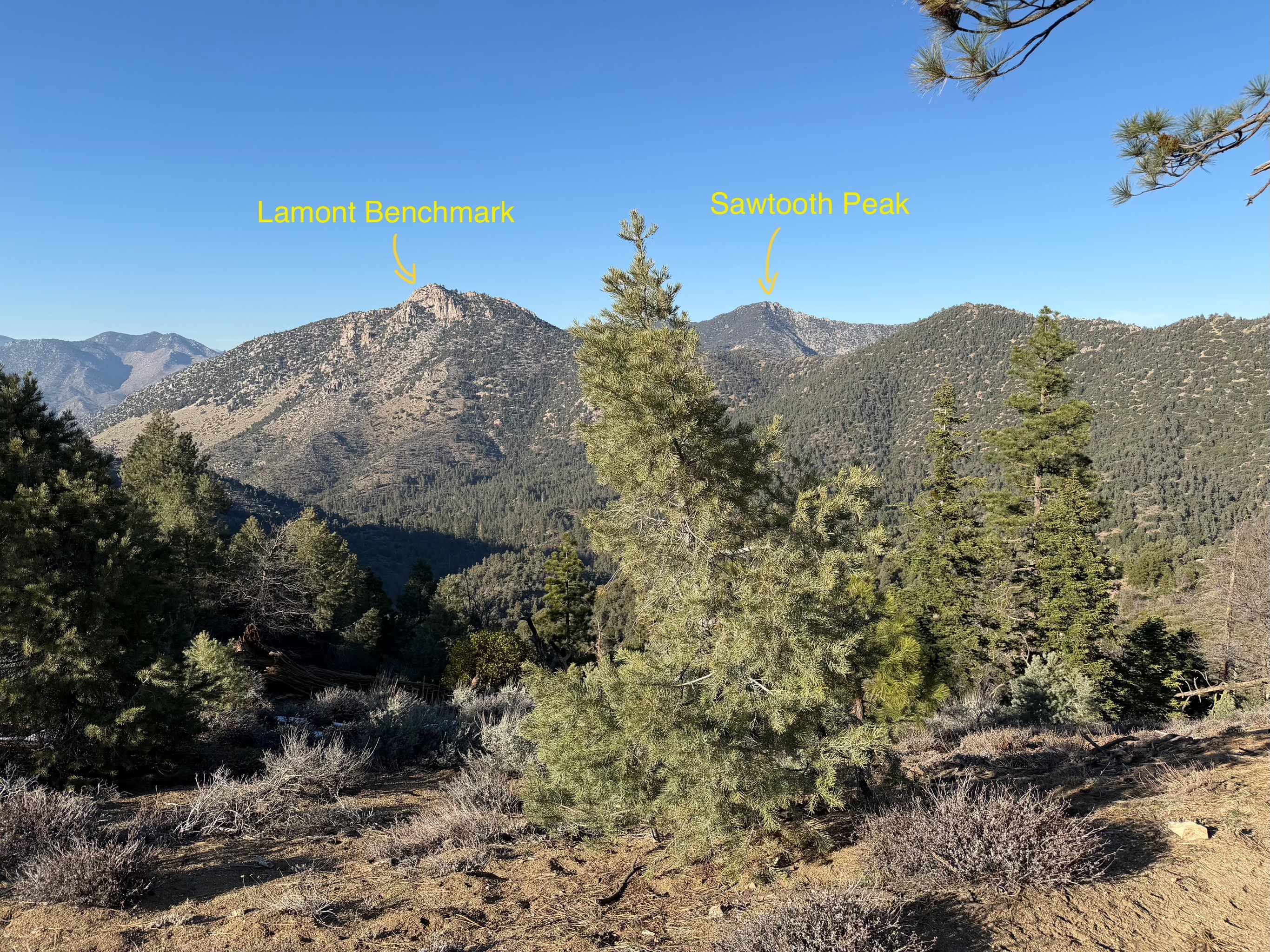 Lamont Benchmark and Sawtooth Peak