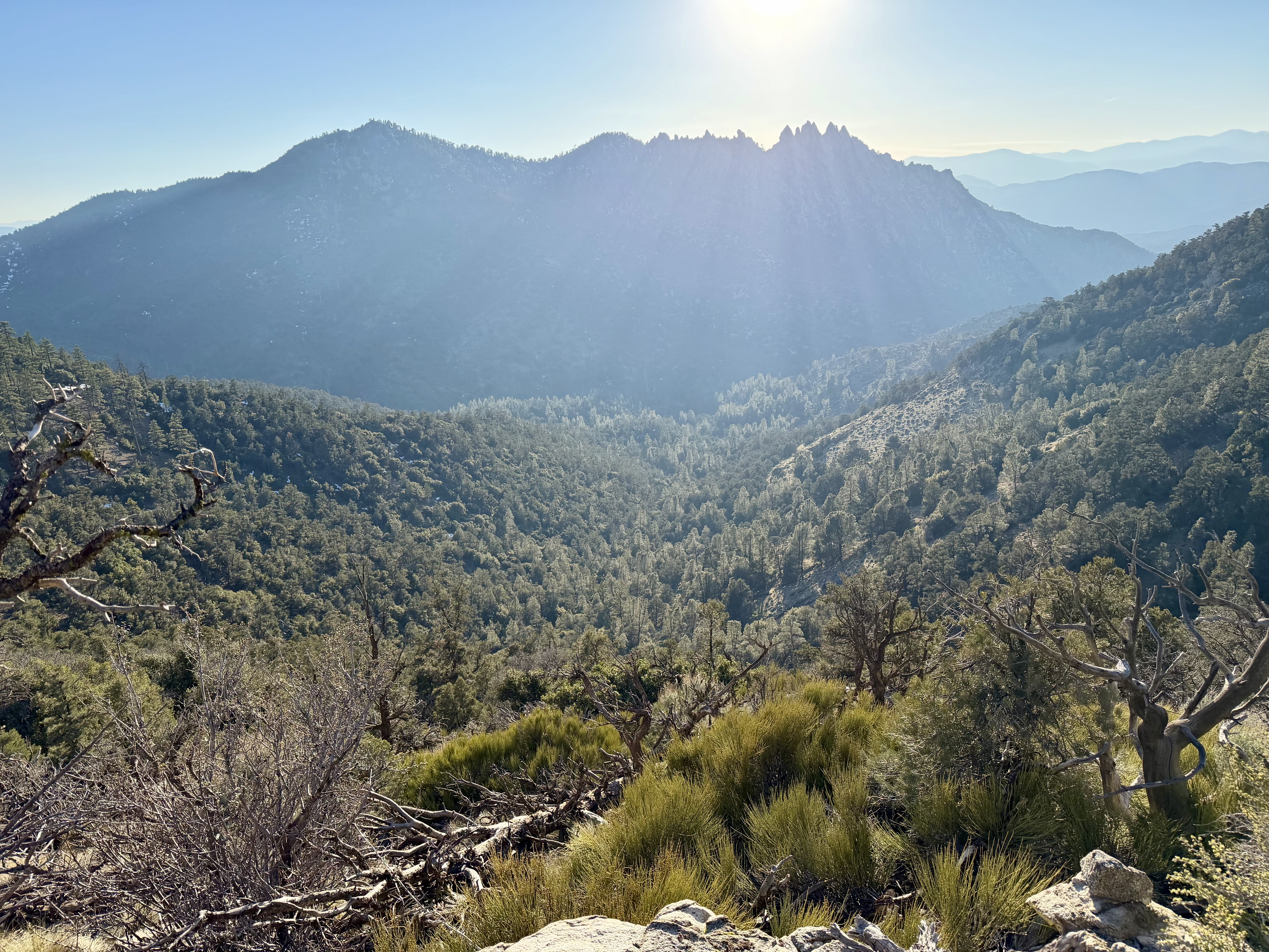 Looking back at Lamont Peak (7,421 feet)