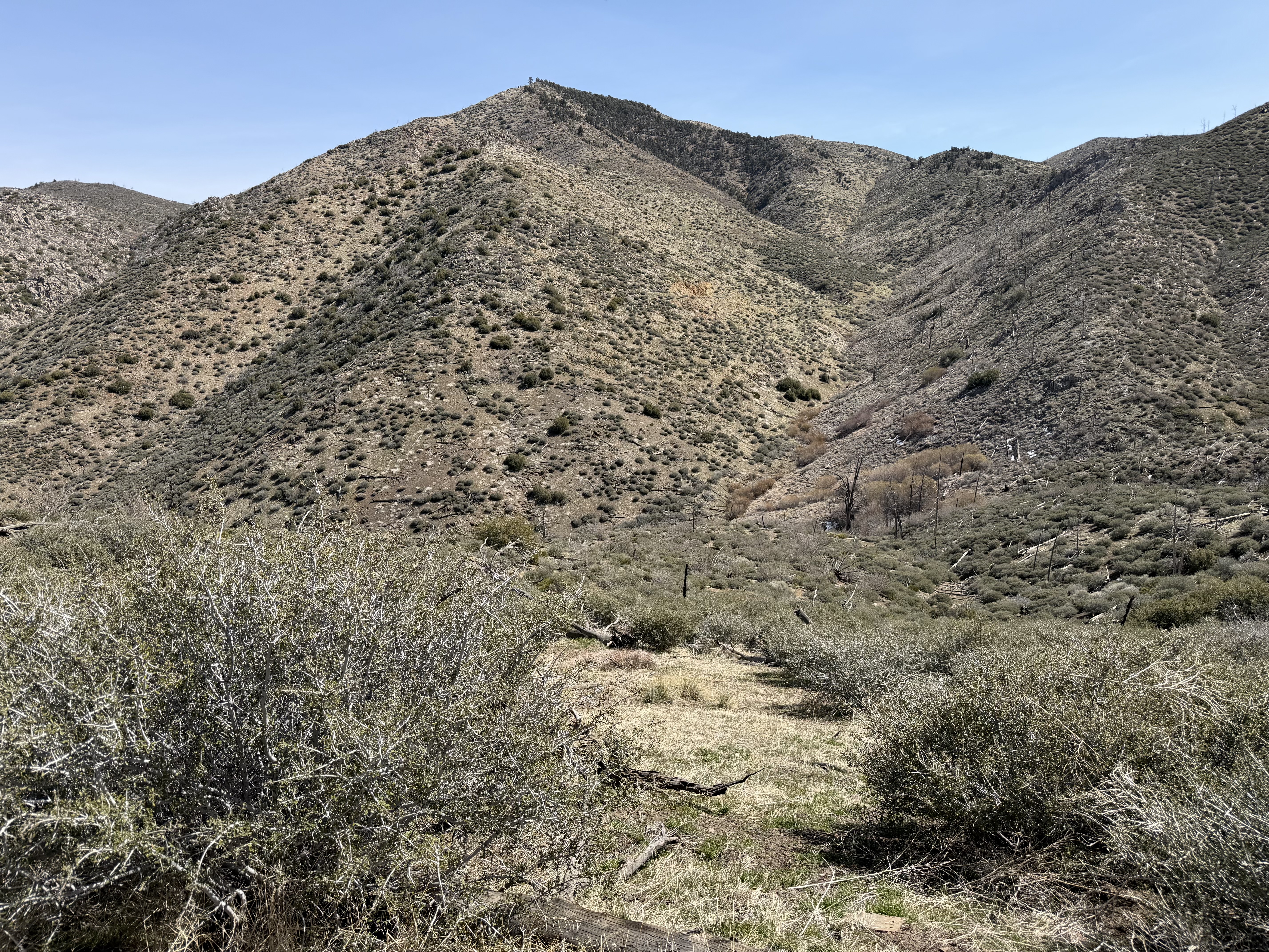 Looking back at the ridge-hugging trail