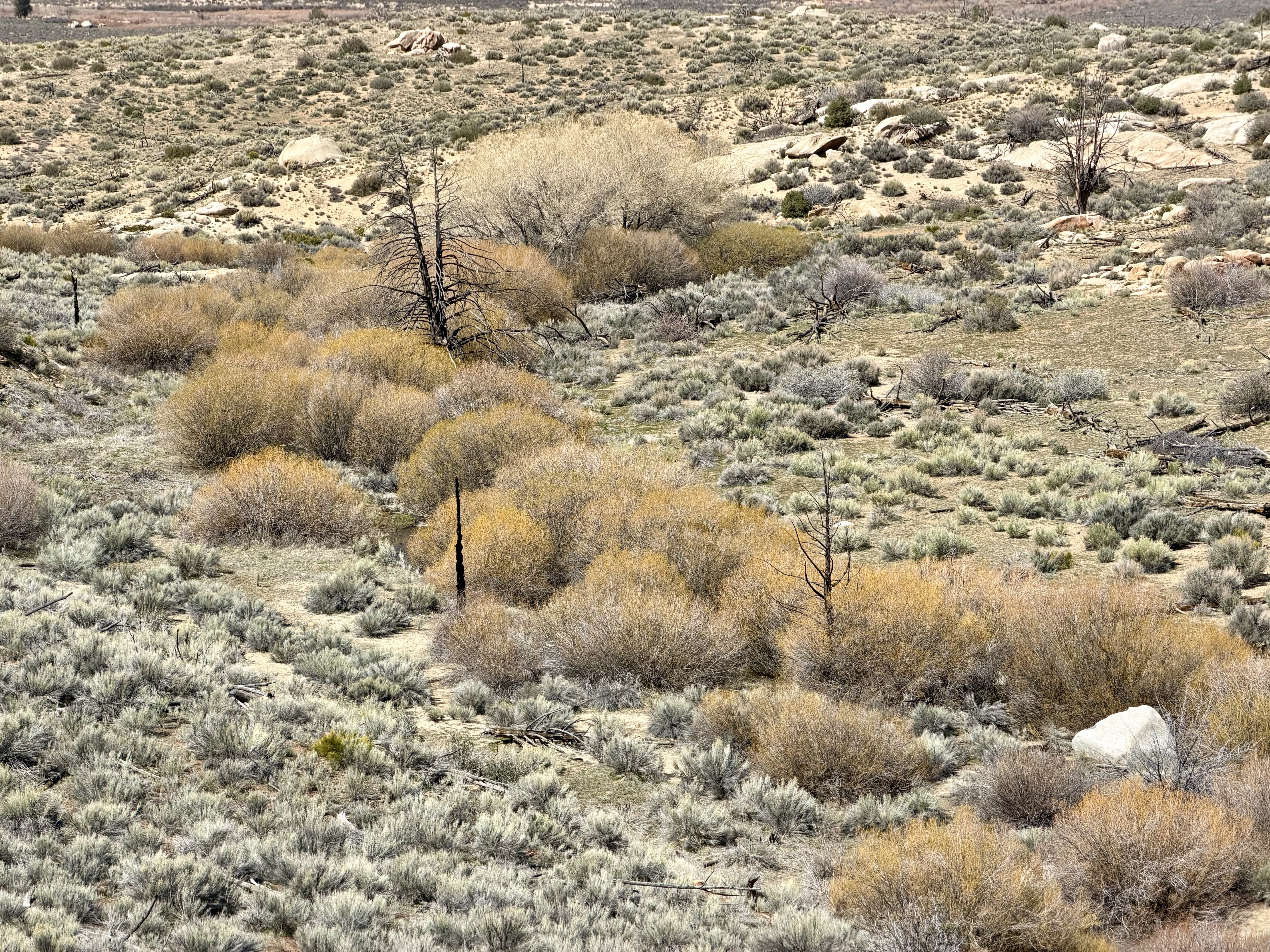 South Fork Kern valley