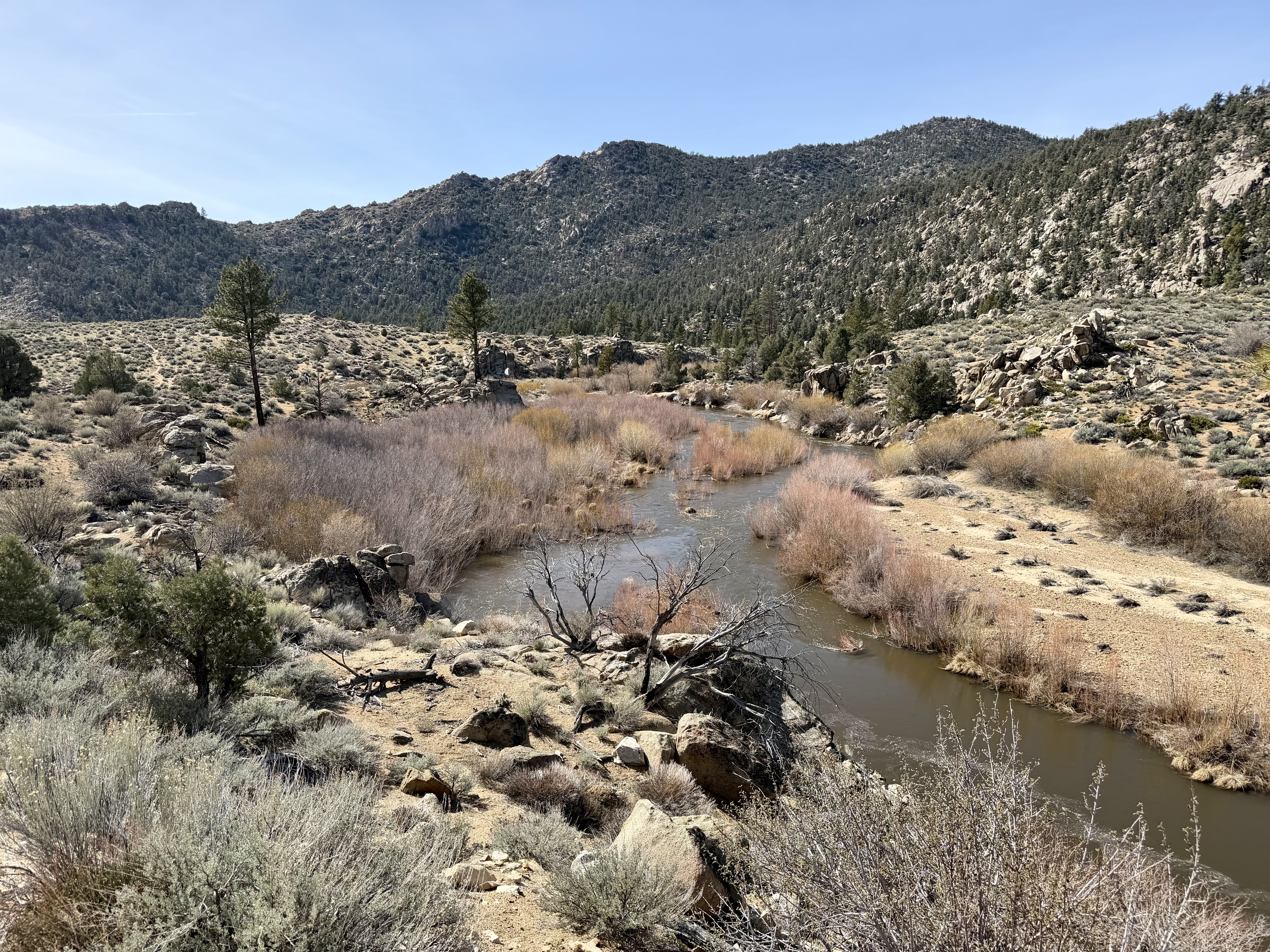 The last 5 miles run alongside the river — good trail, great views