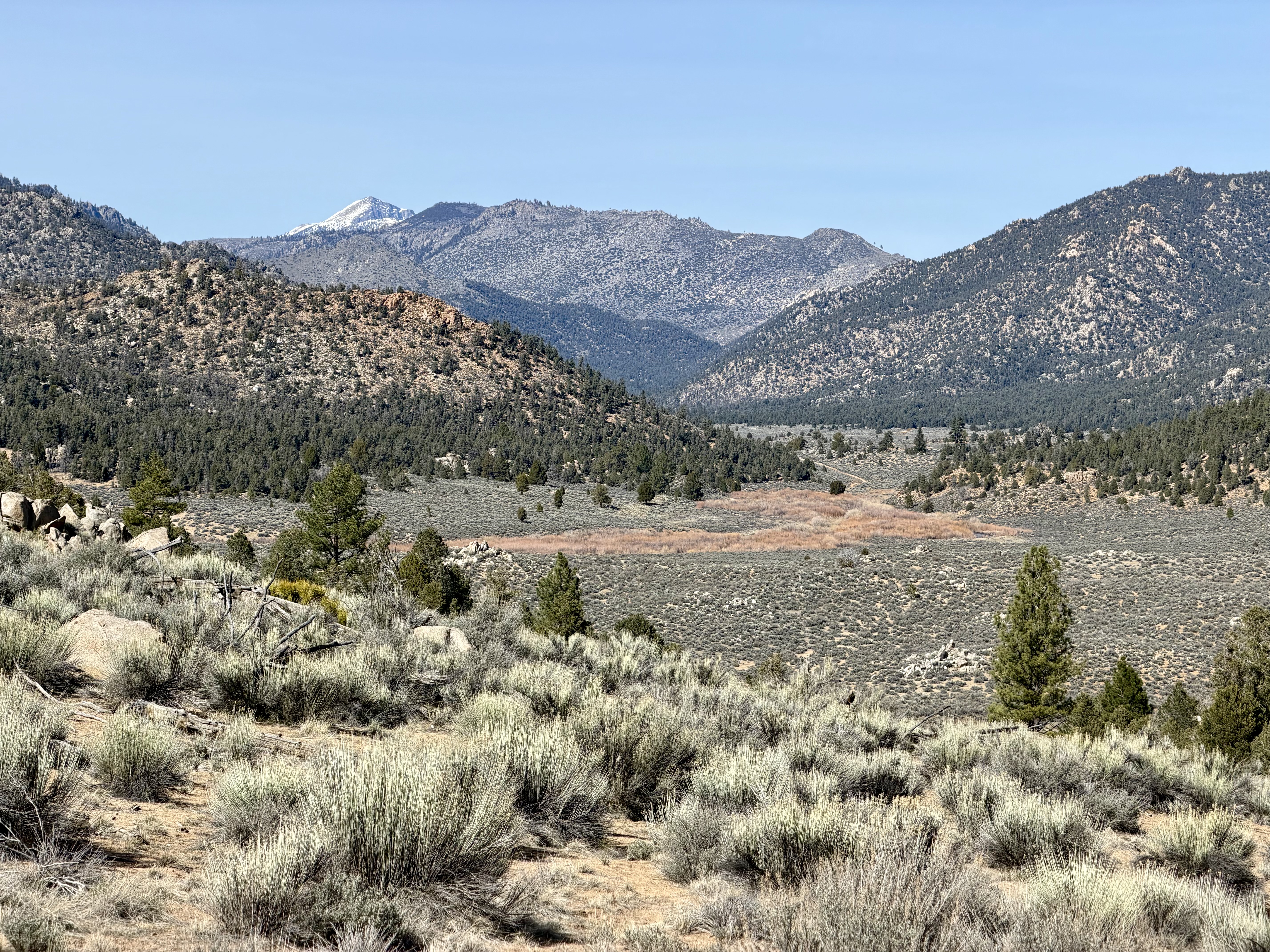 Olancha Peak — next on the list