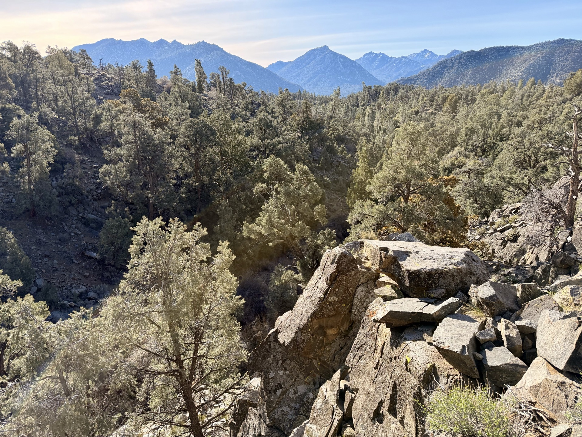 Continuing through the Scodies; a look back reveals the peaks from Trail 3