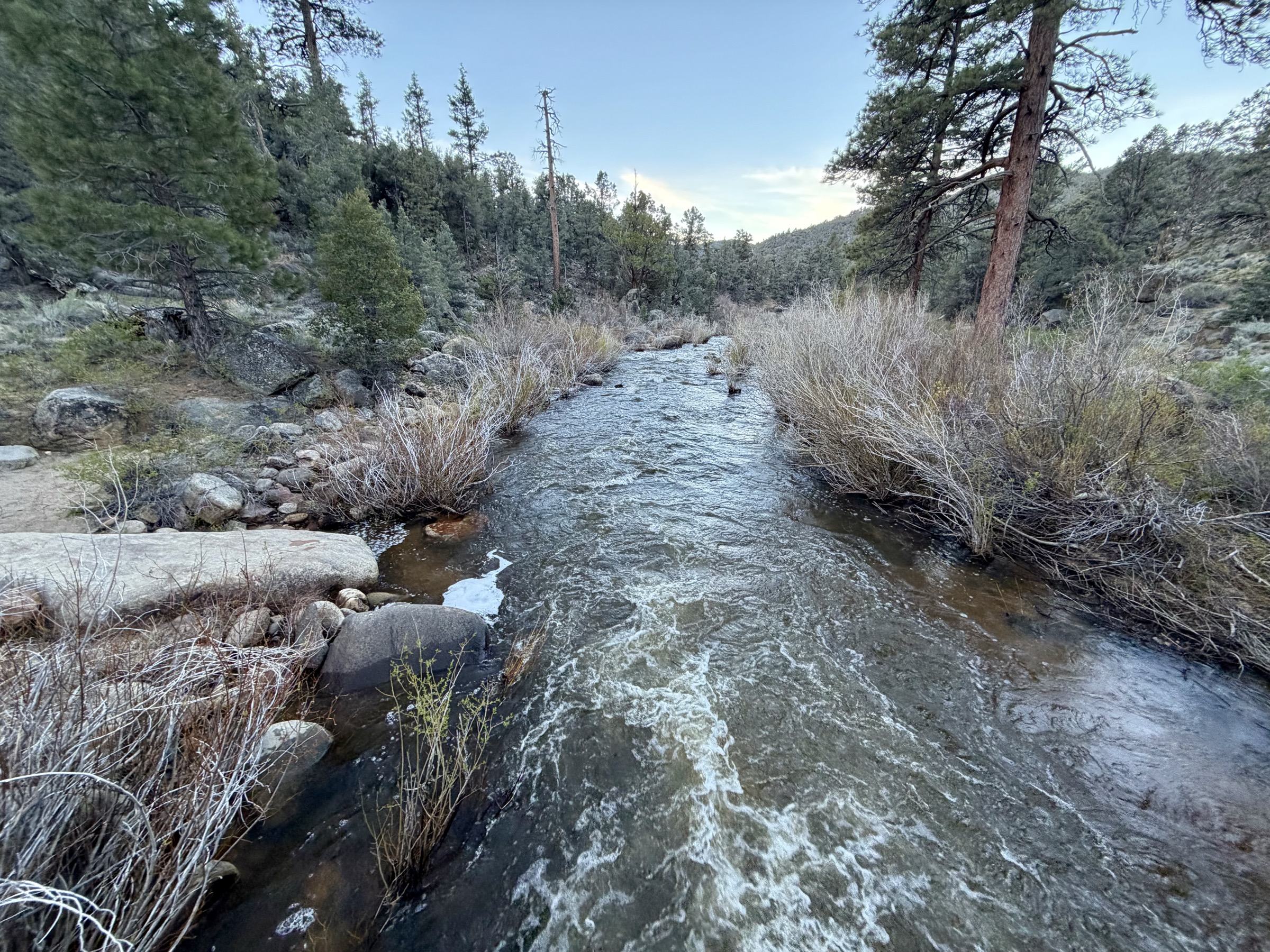 South Fork Kern River, early morning