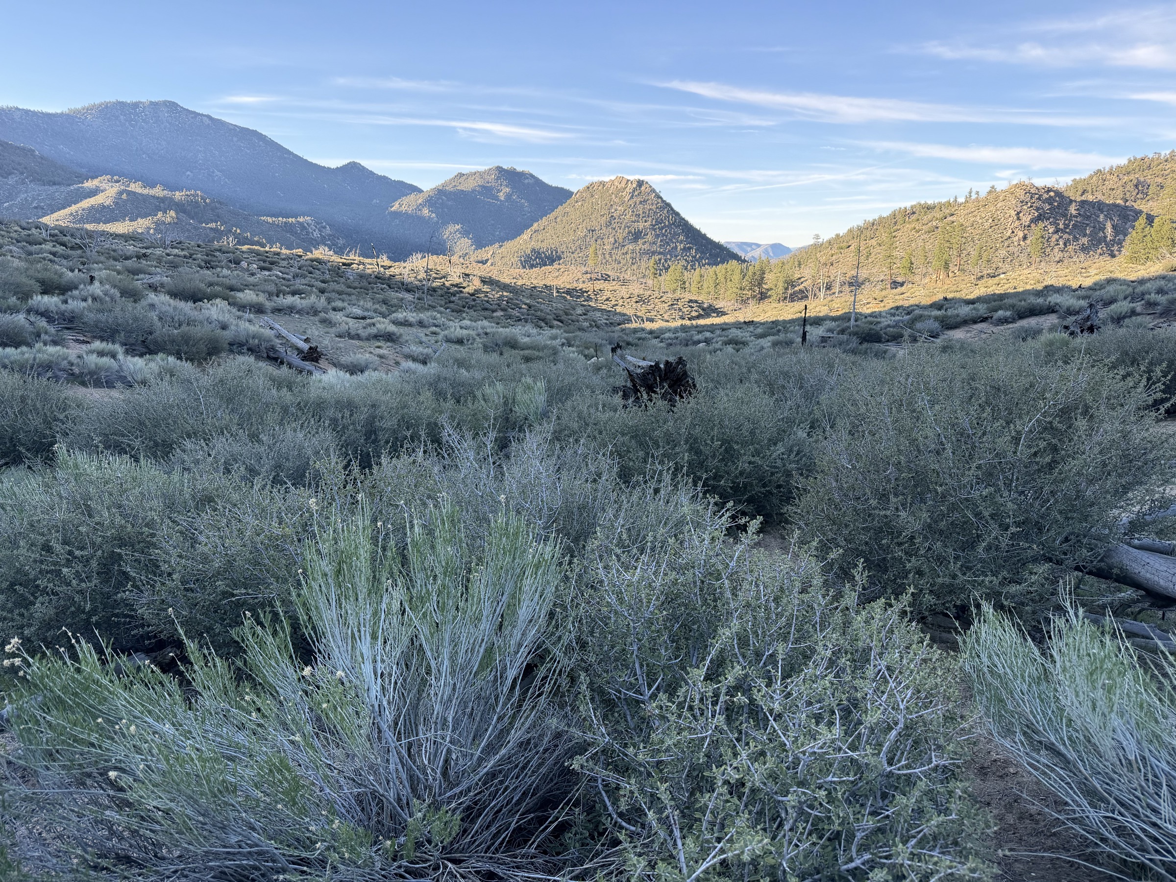 Looking back at Ball Mountain from Crag Peak and Deer Peak pass