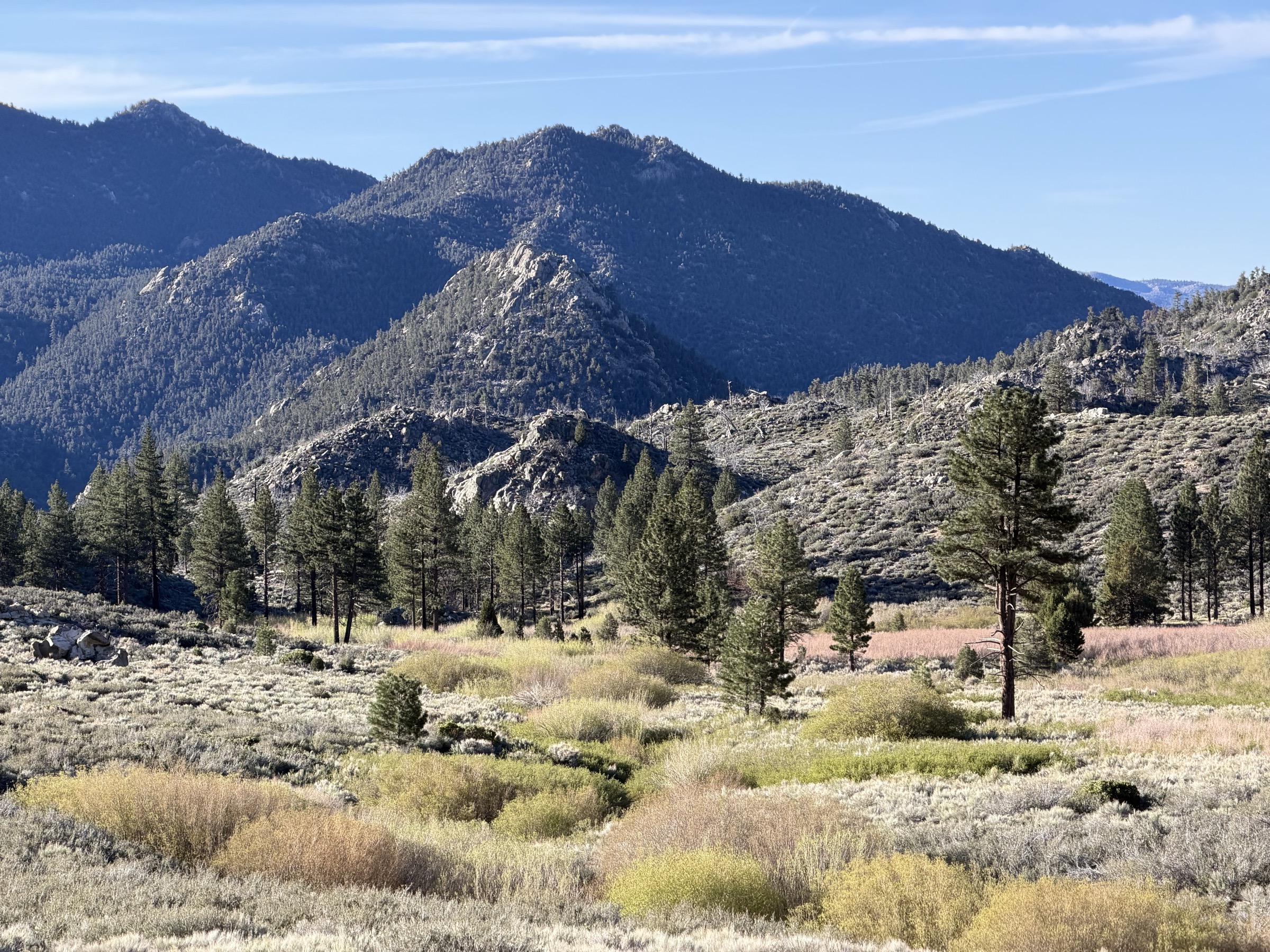 Approaching Beck Meadow
