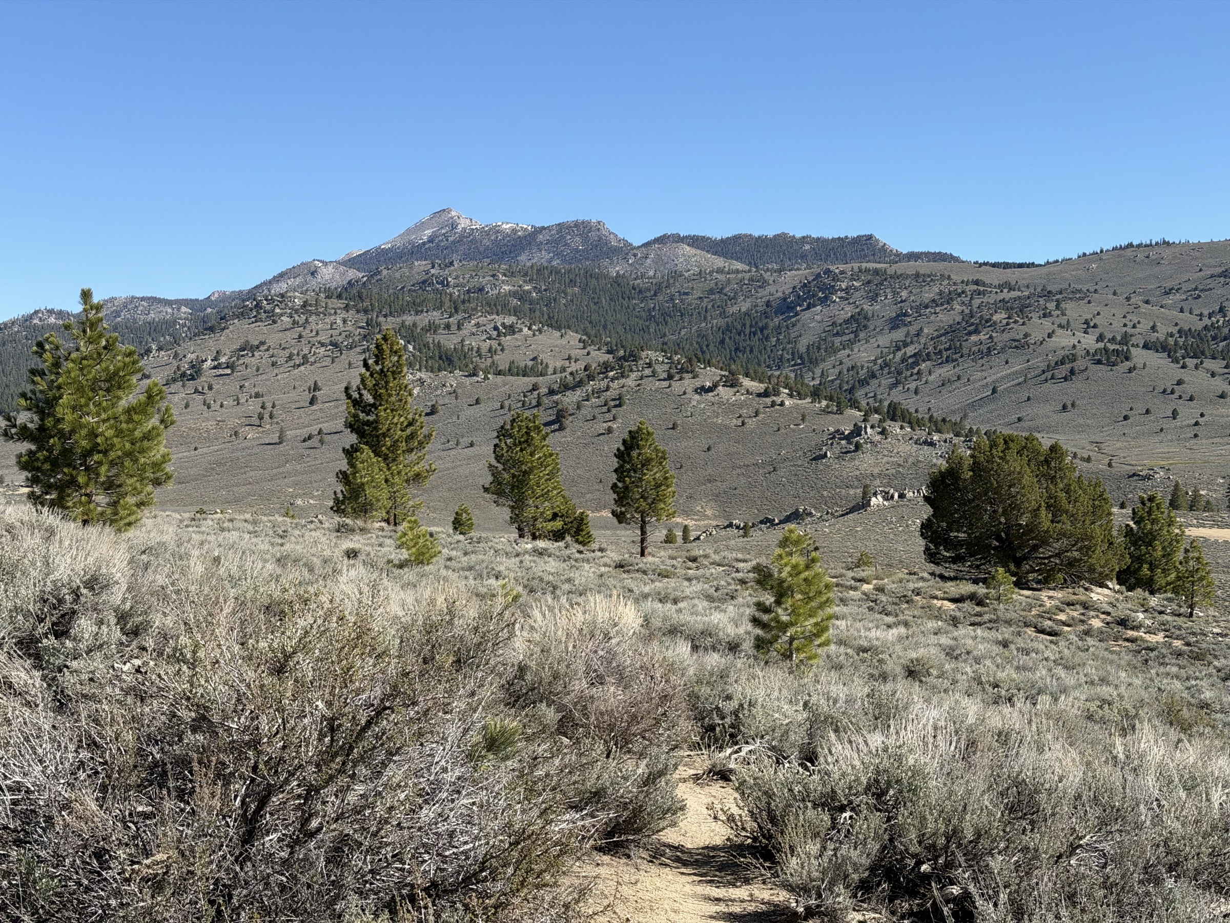 First views of Olancha Peak open up ahead