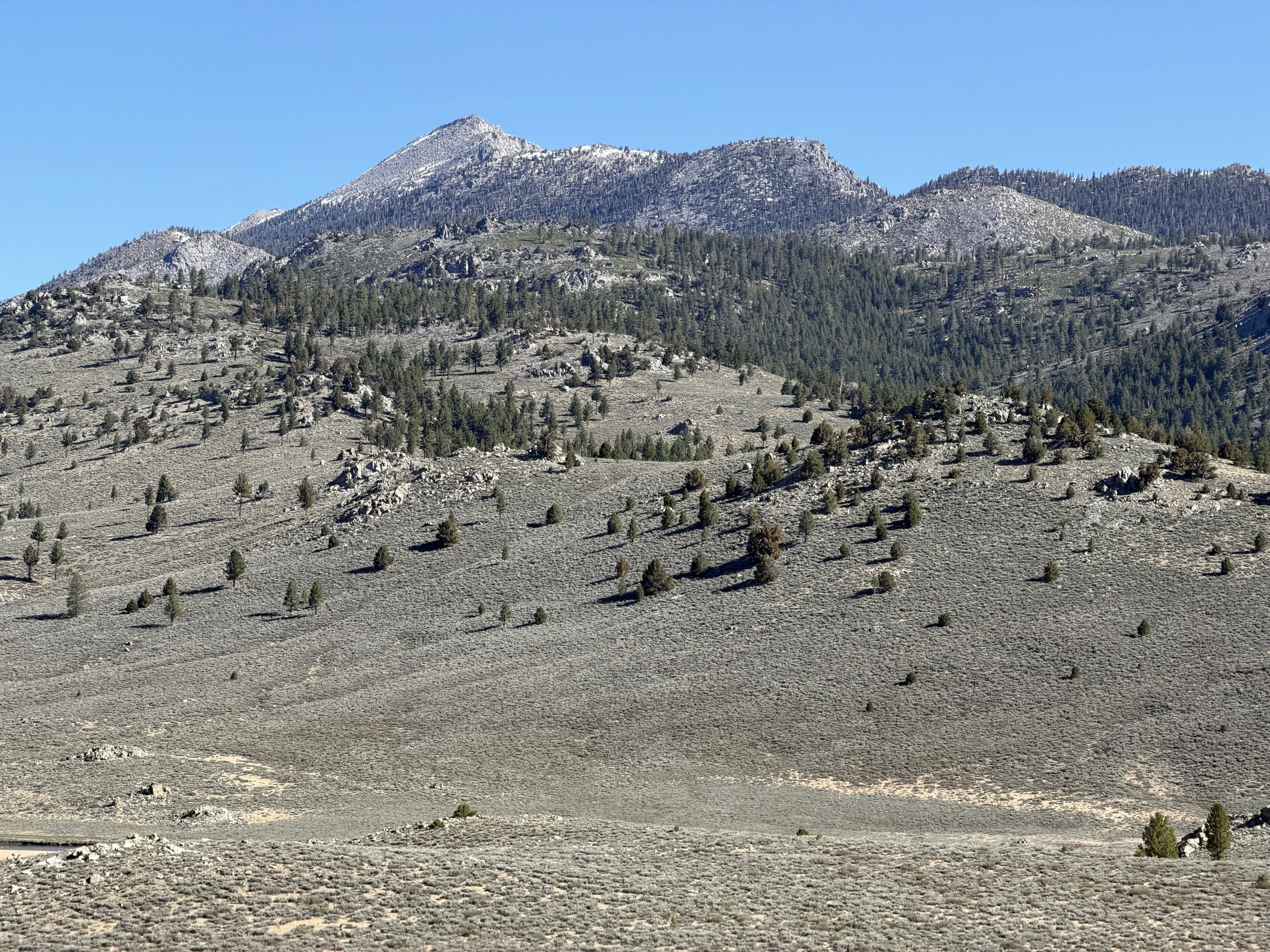 Olancha Peak and the snow-free ascent ridge