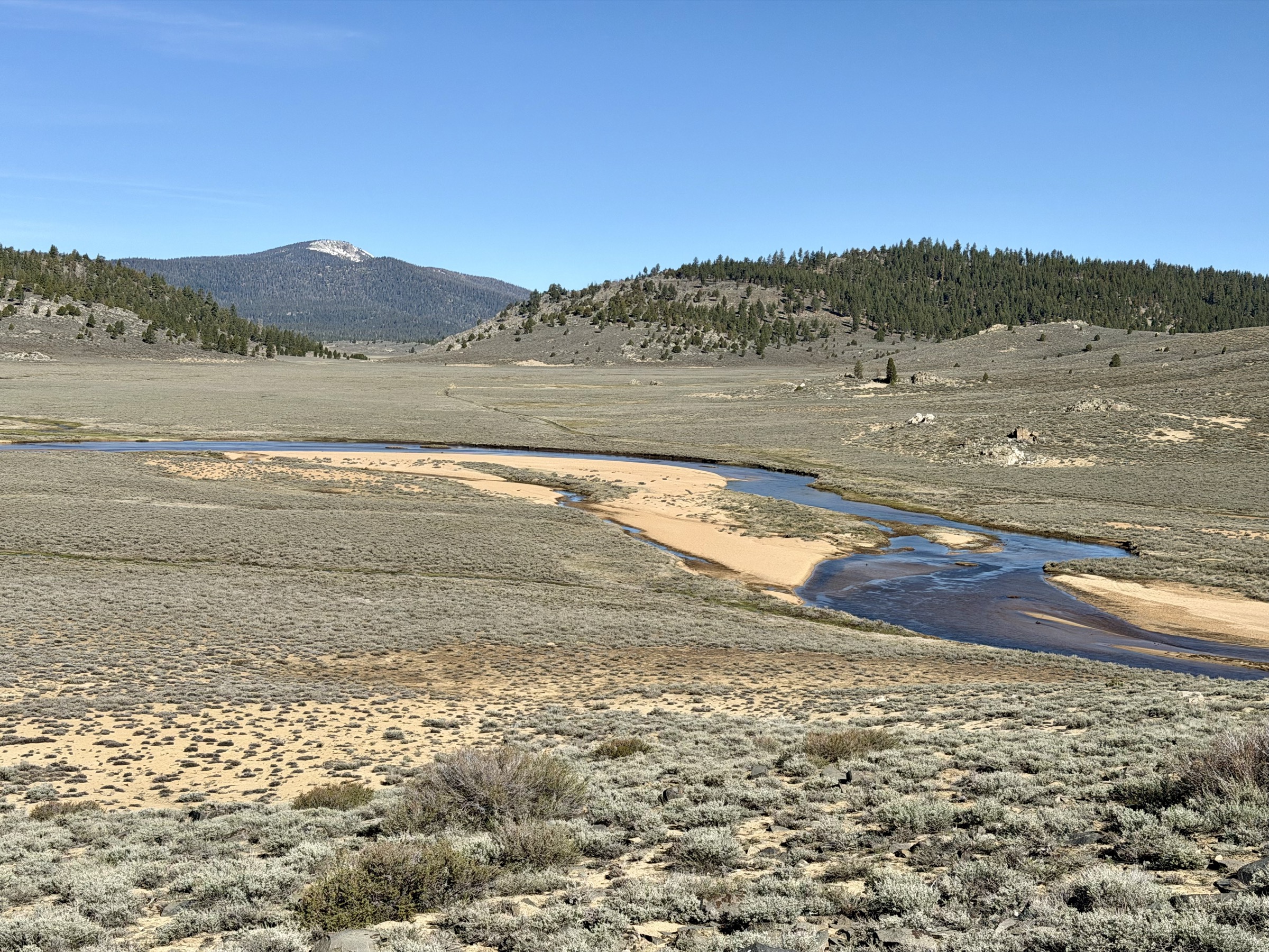 The South Fork Kern River slows as it meanders through Monache Meadows
