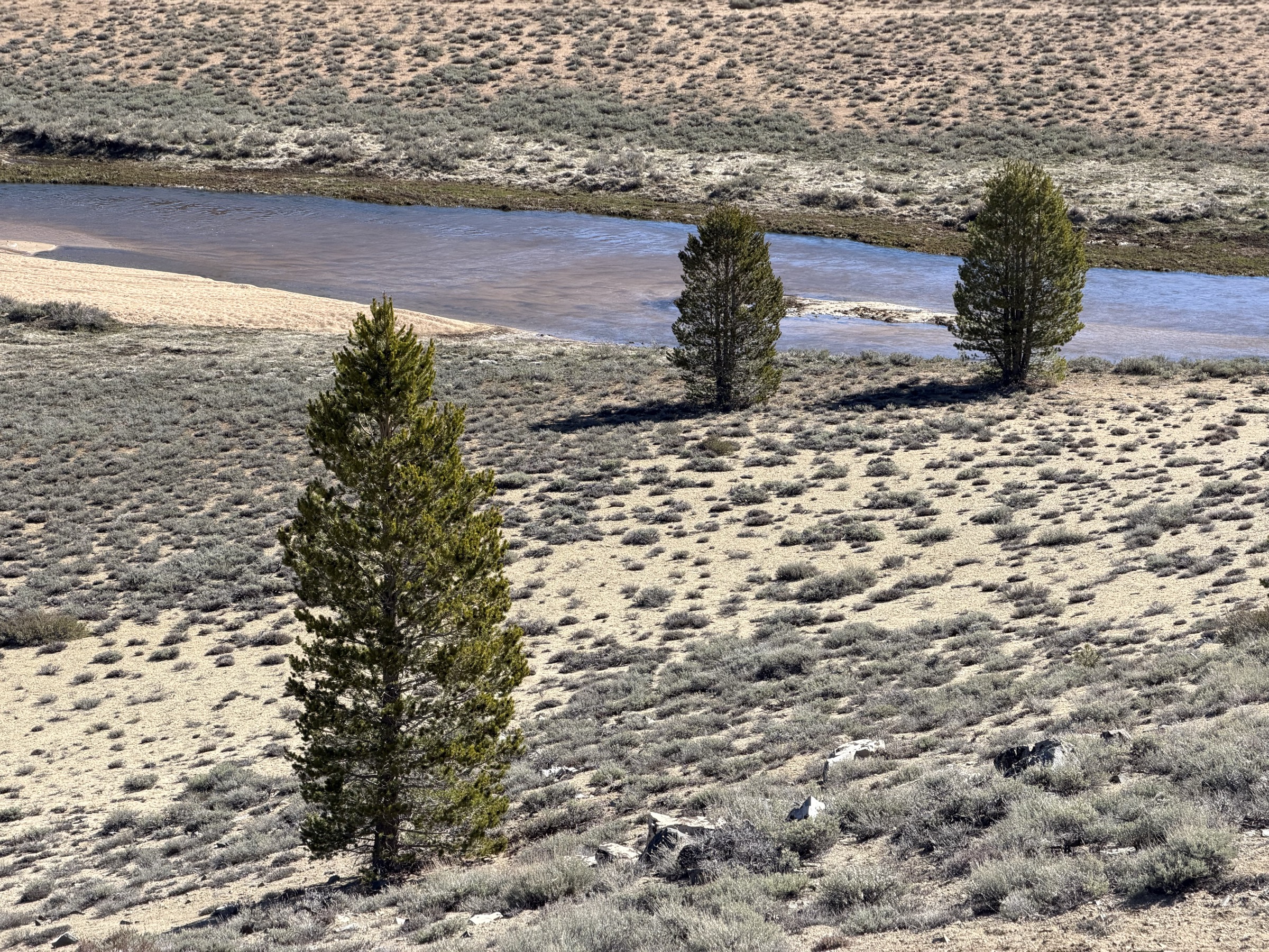 South Fork Kern River