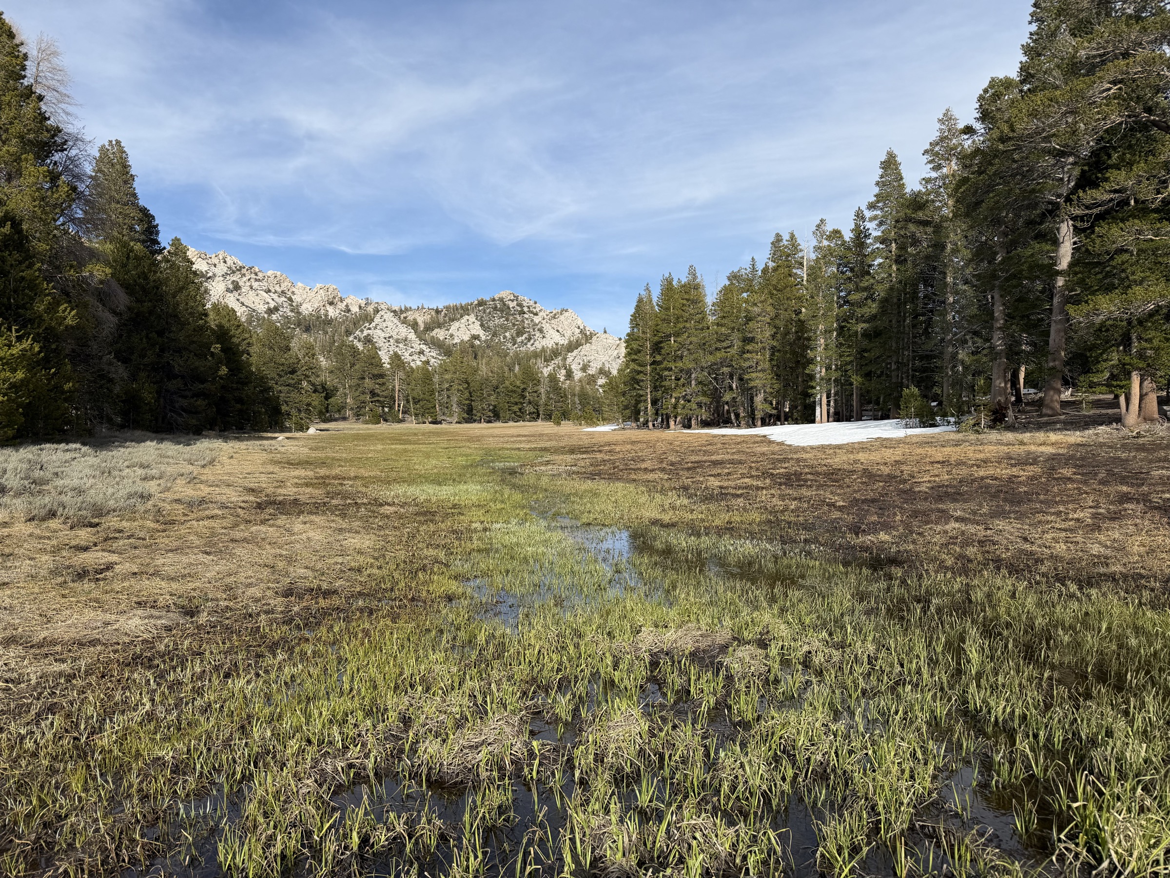 Cartago Creek in Gomez Meadow, after the descent from Olancha Peak