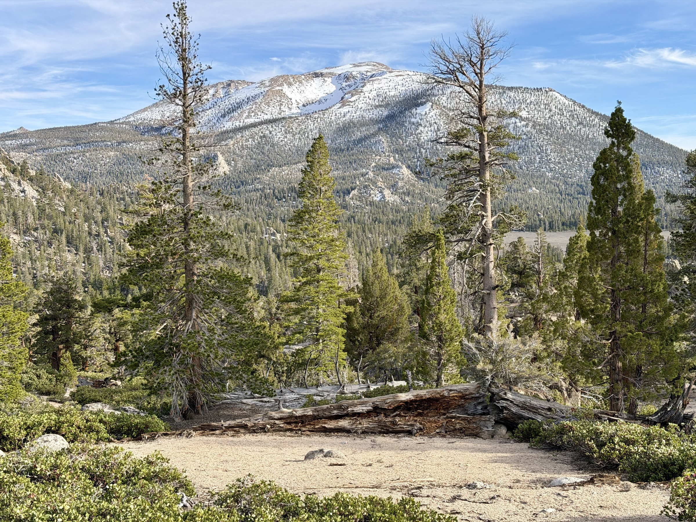 Looking back at the snow-covered north slope of Olancha Peak
