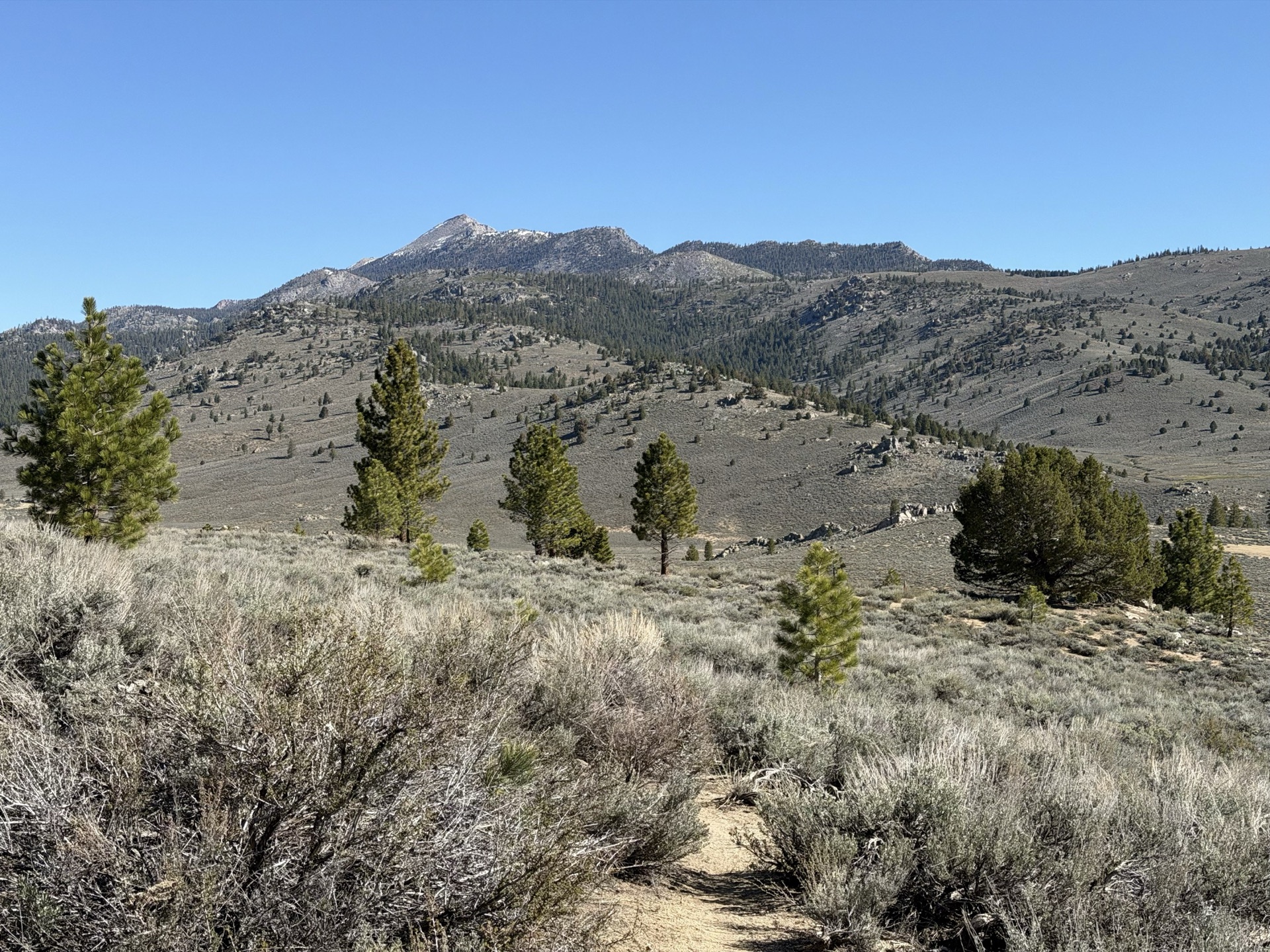 First views of Olancha Peak open up ahead