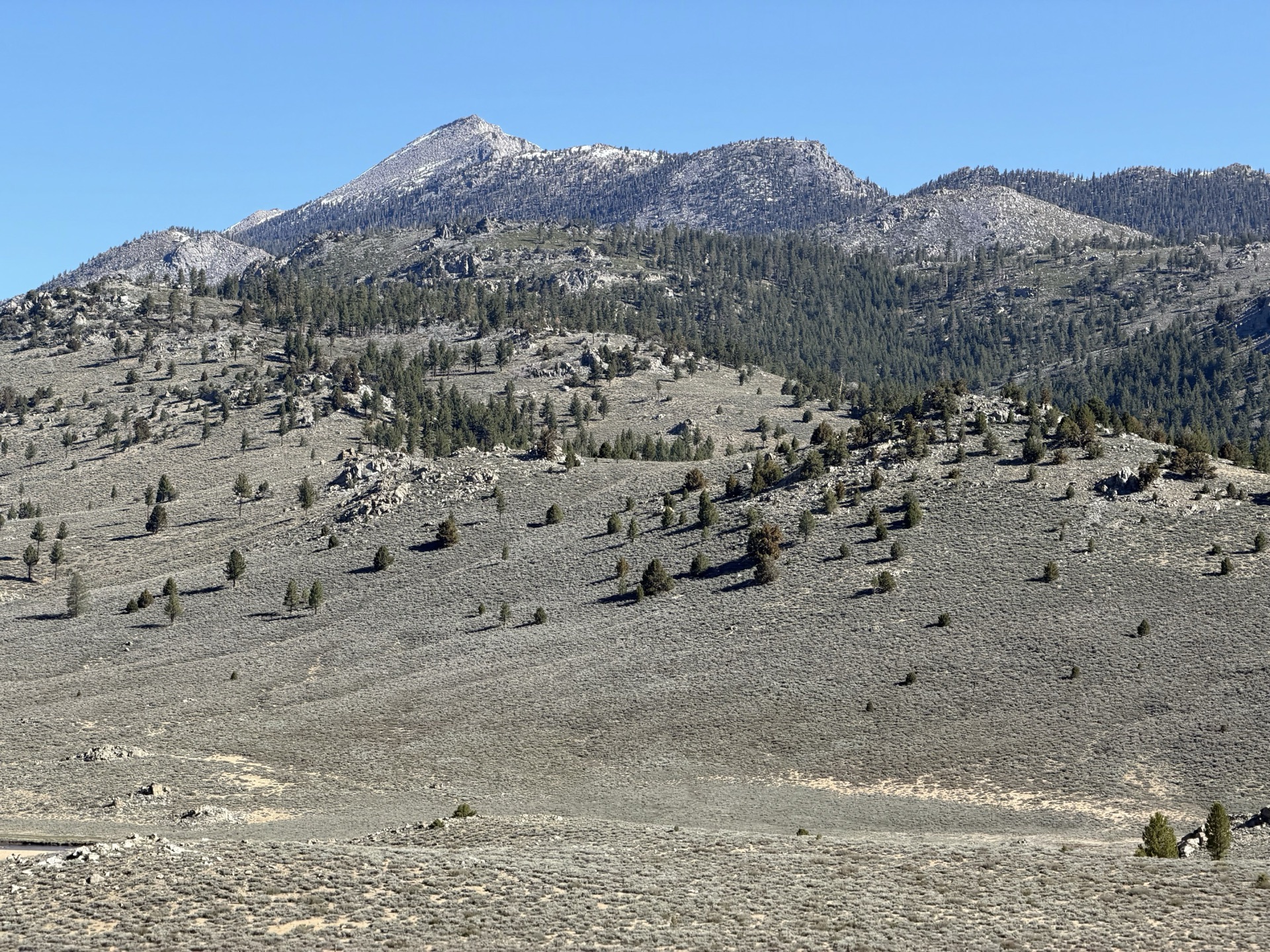 Olancha Peak and the snow-free ascent ridge