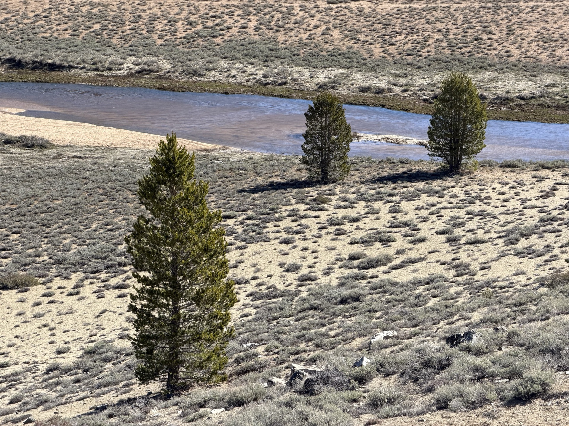 South Fork Kern River