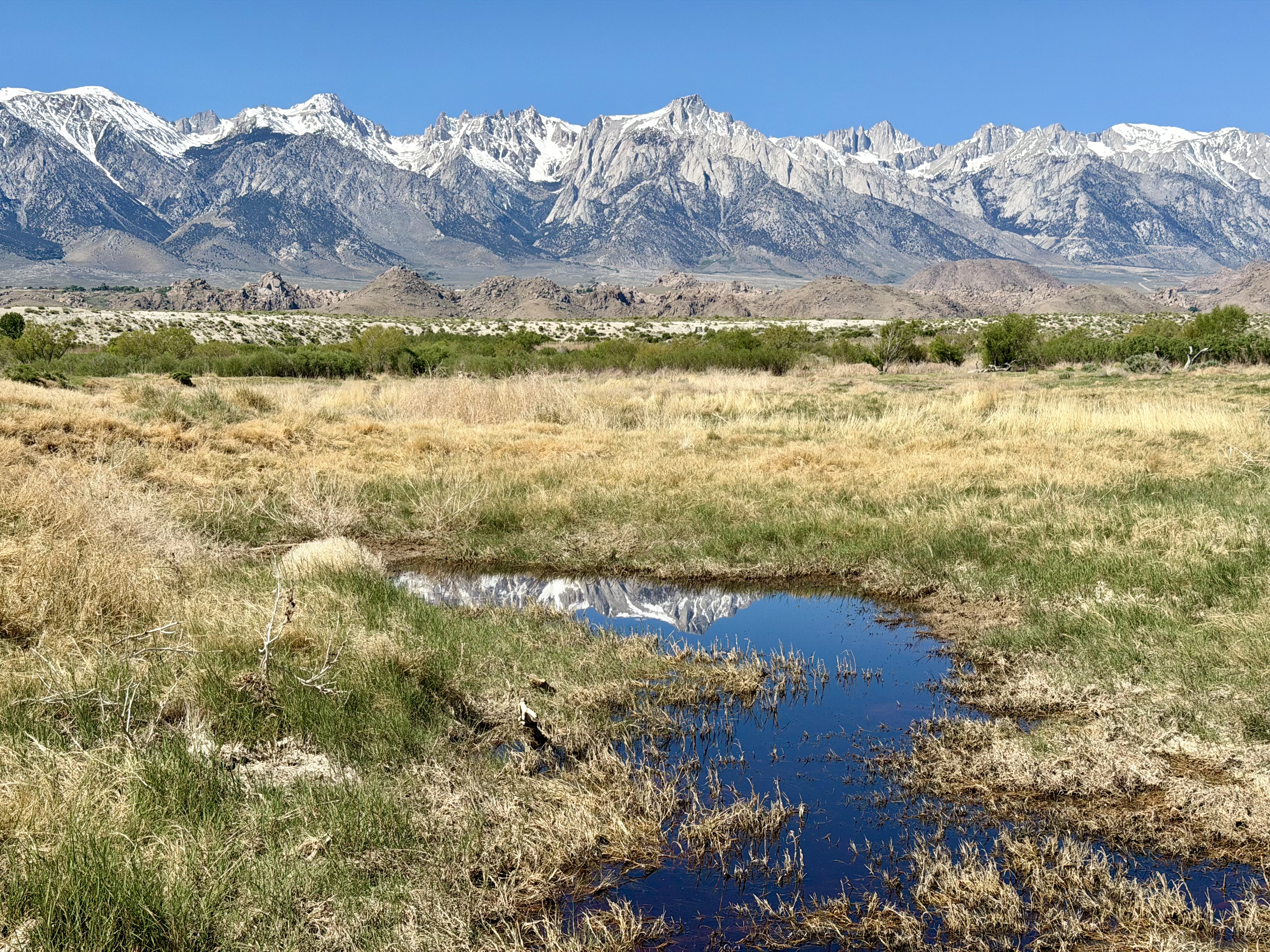 Trail starts with clear views of the High Sierra Crest — Langley, Lone Pine Peak, Whitney, and Russell
