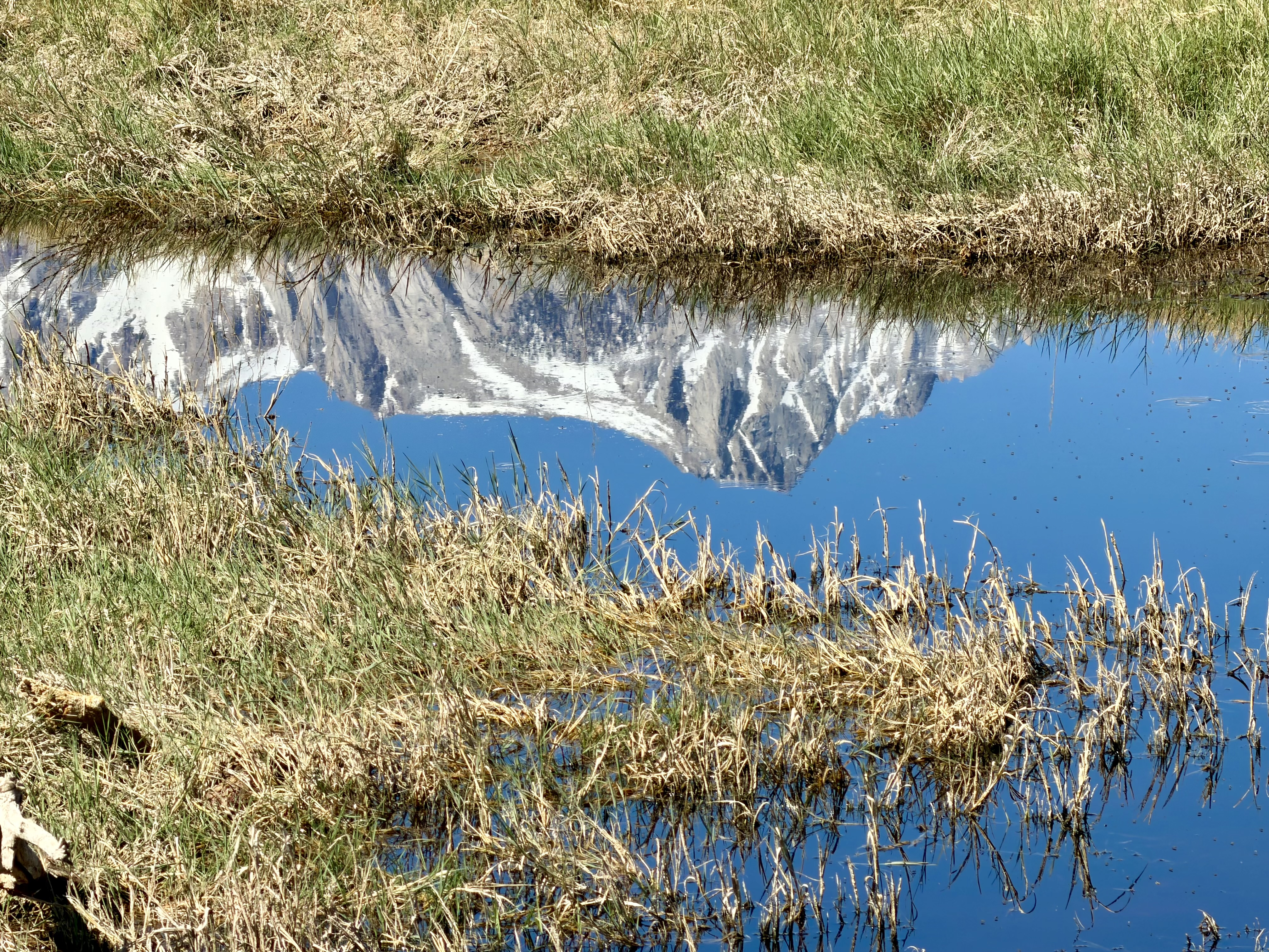 Lone Pine Peak reflected in a small pool, formed by water rising and receding