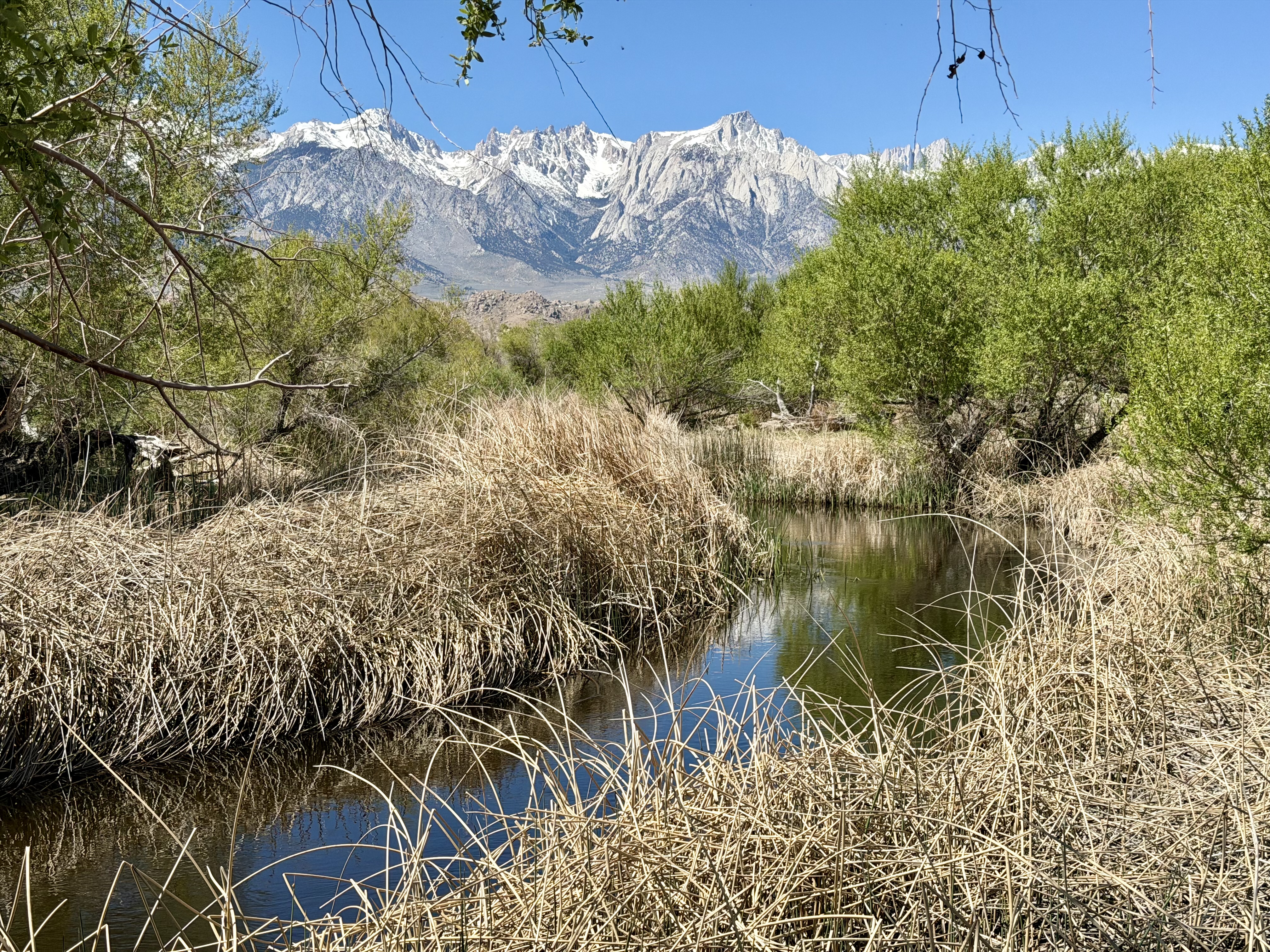 Owens River channel is usually close to the trail