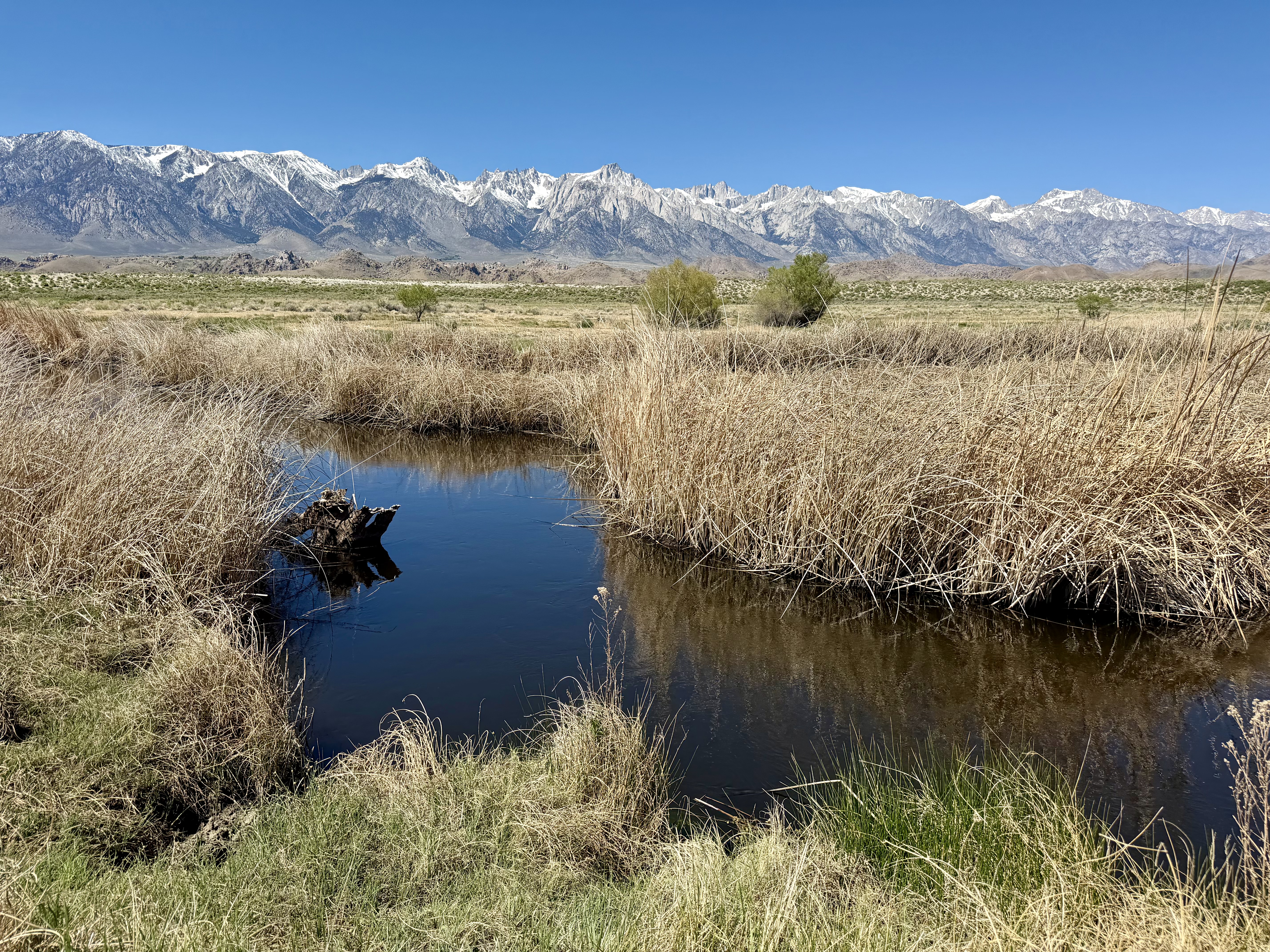 Owens River