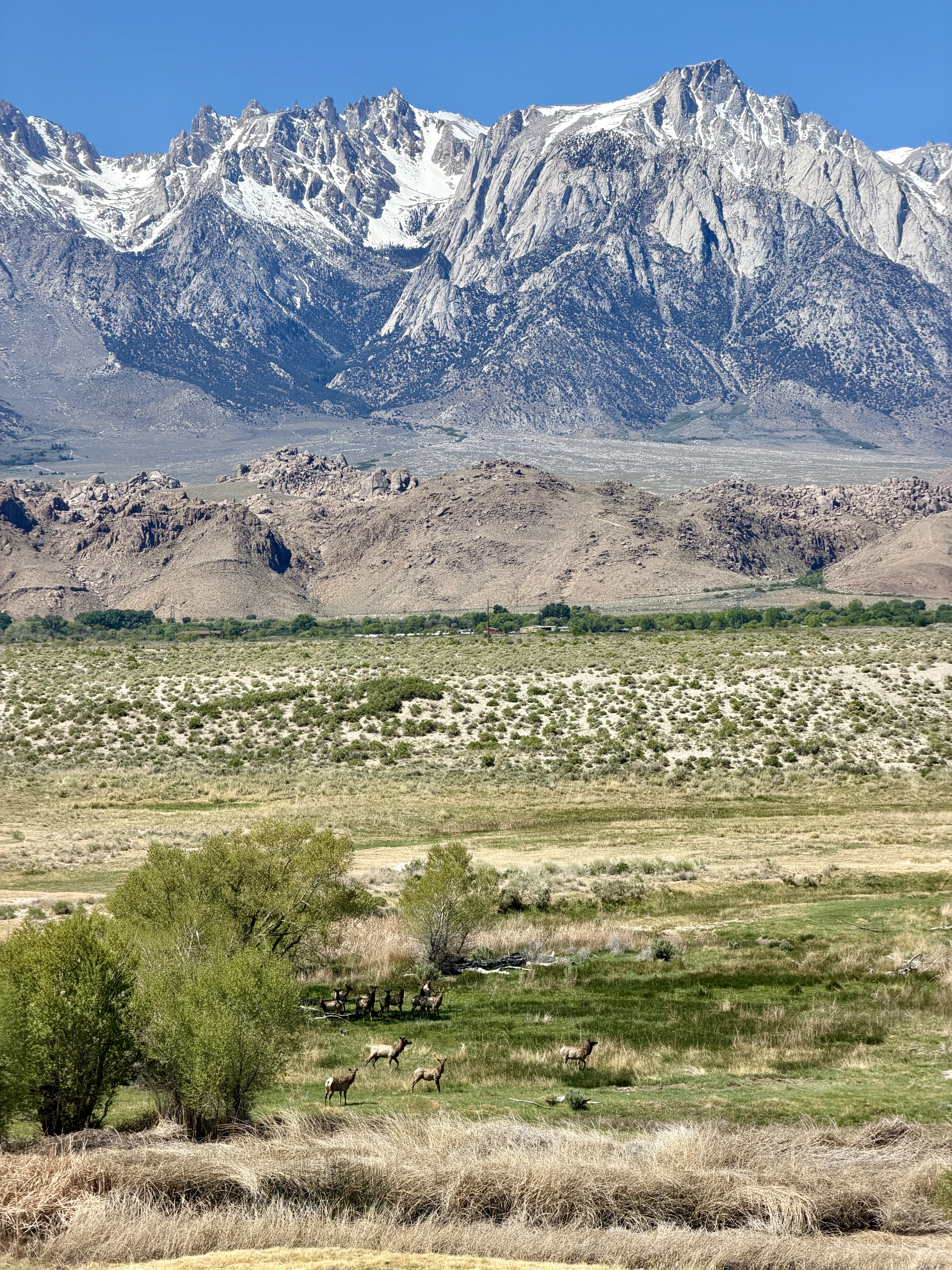 Was surprised to see and startle a herd of deer