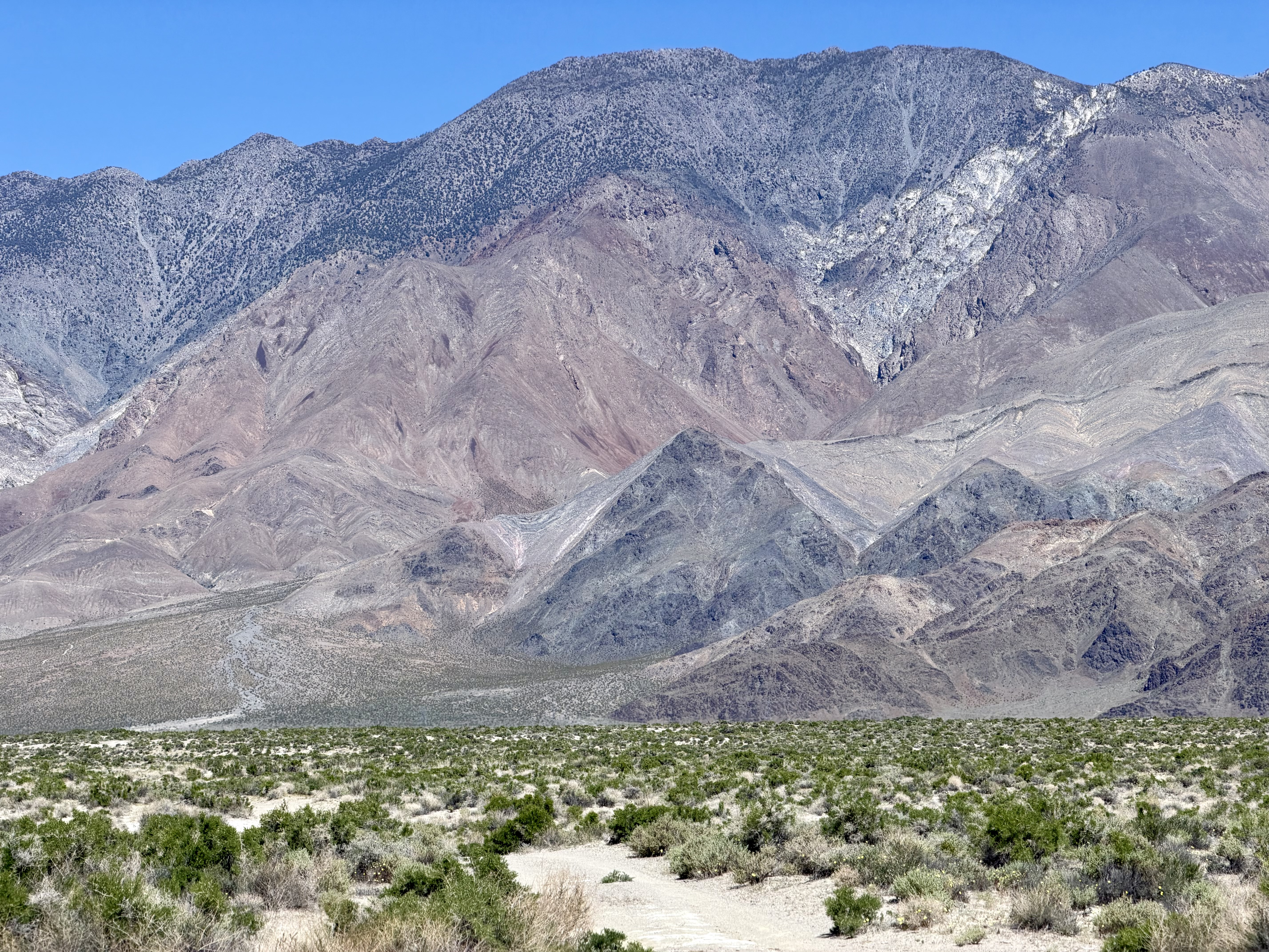 Mount Inyo, 10,974 feet