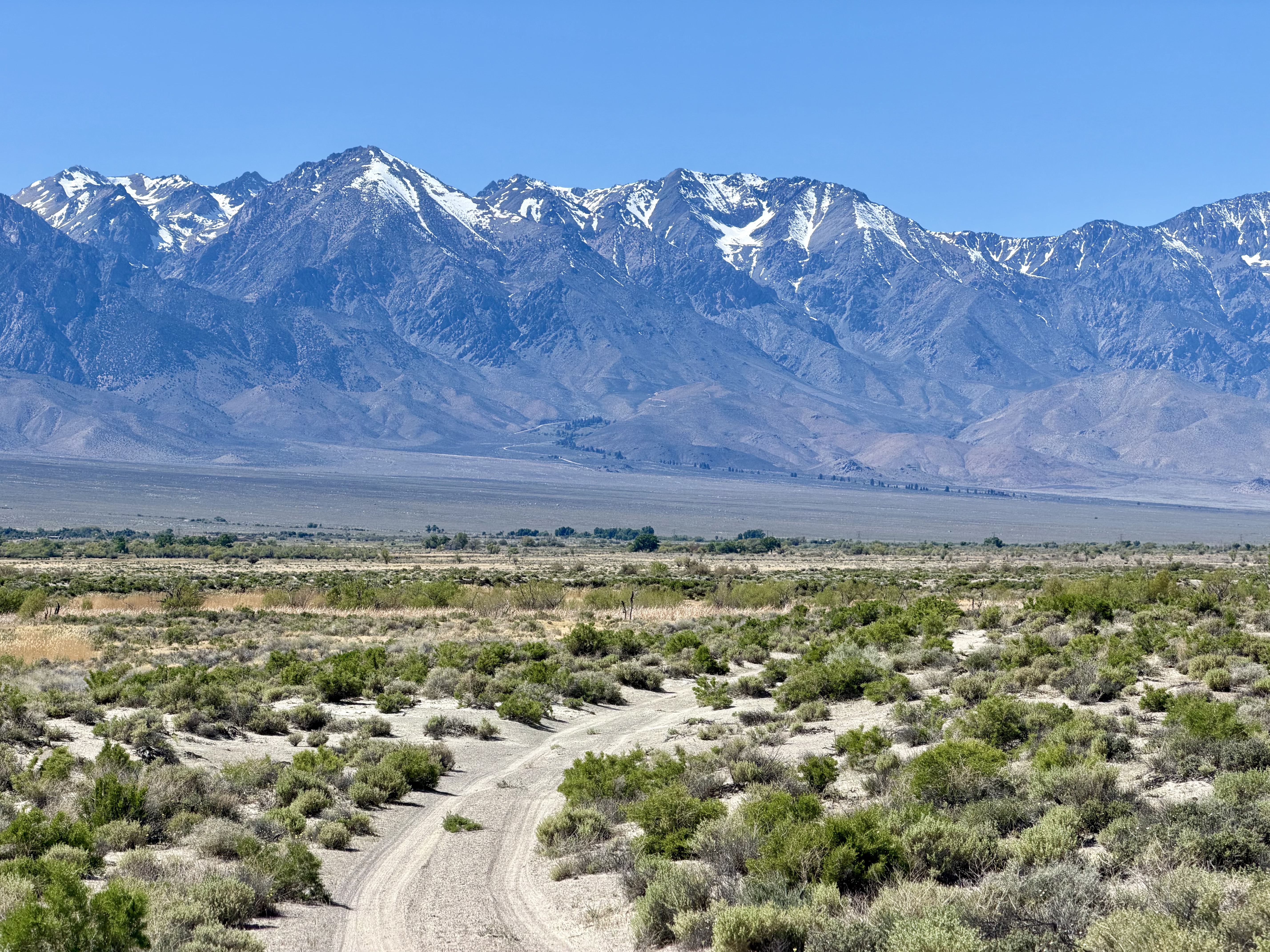 As the trail approaches Independence, the Alabama Hills give way to plains