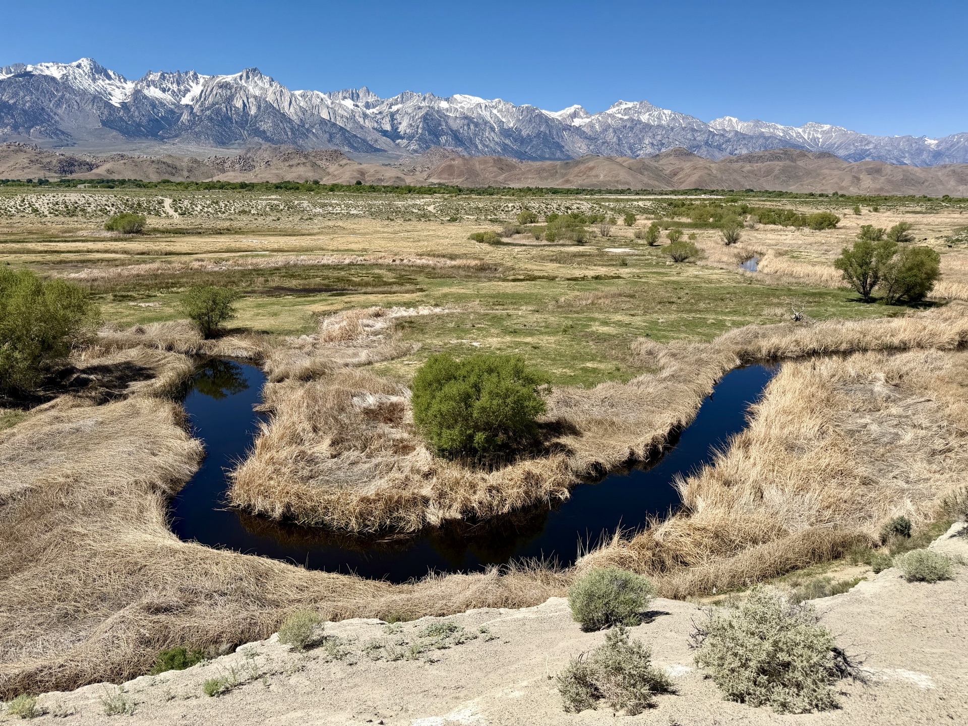 Owens River, Alabama Hills, and the High Sierra Crest with Mount Whitney